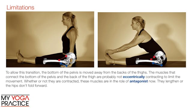 5.3- Transforming the Body with Asana 3