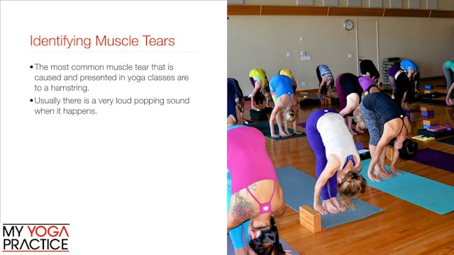 15.1- Some Common Types of Injury and...