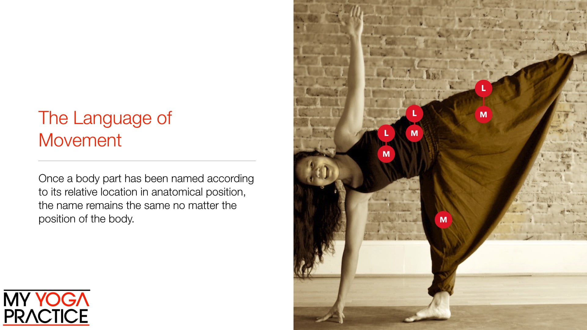 6.3-Introduction to the Three Planes of Movement