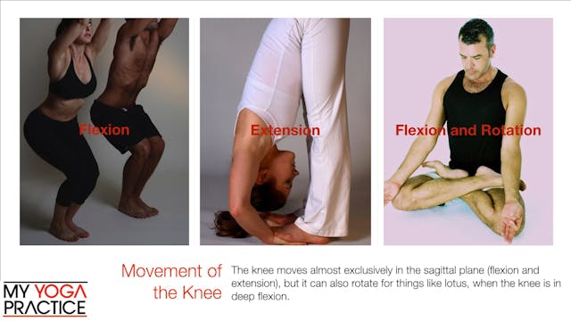 13.1- Structure and Function of the K...