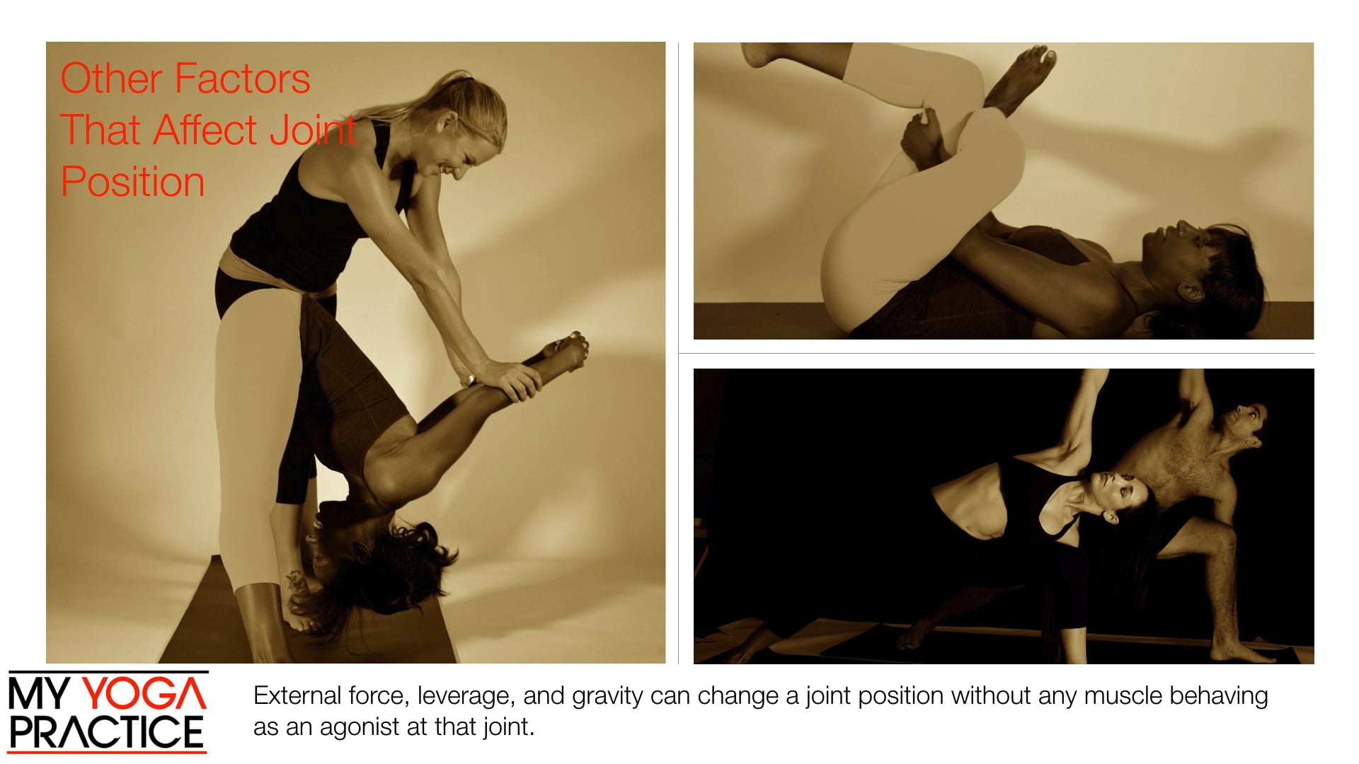 4.1- Muscle Roles and Types of Contraction 1