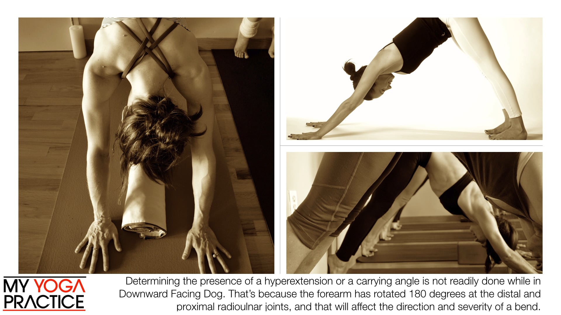 12.2- The Elbow Shapes and Asana