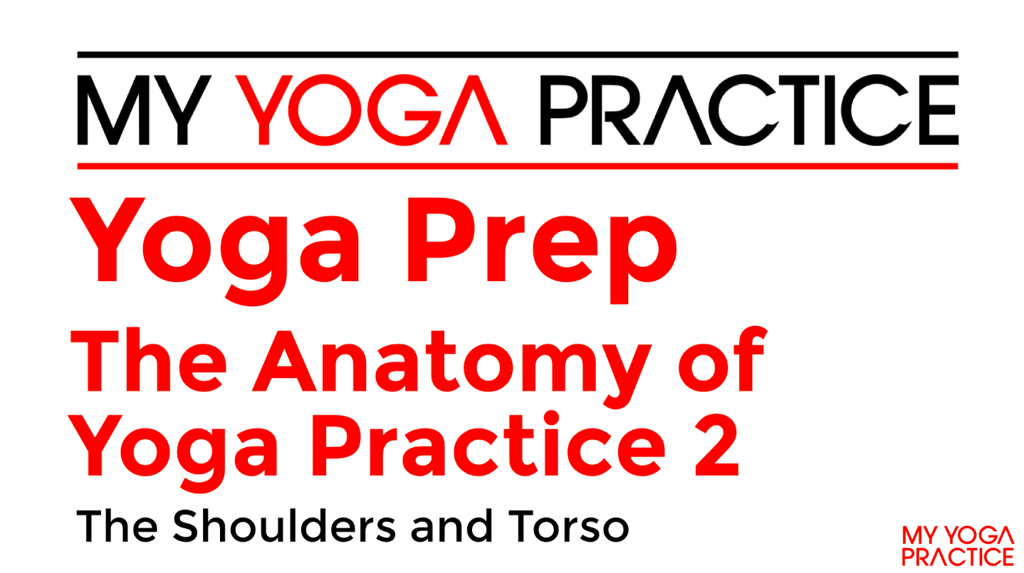 Yoga Prep Anatomy 2