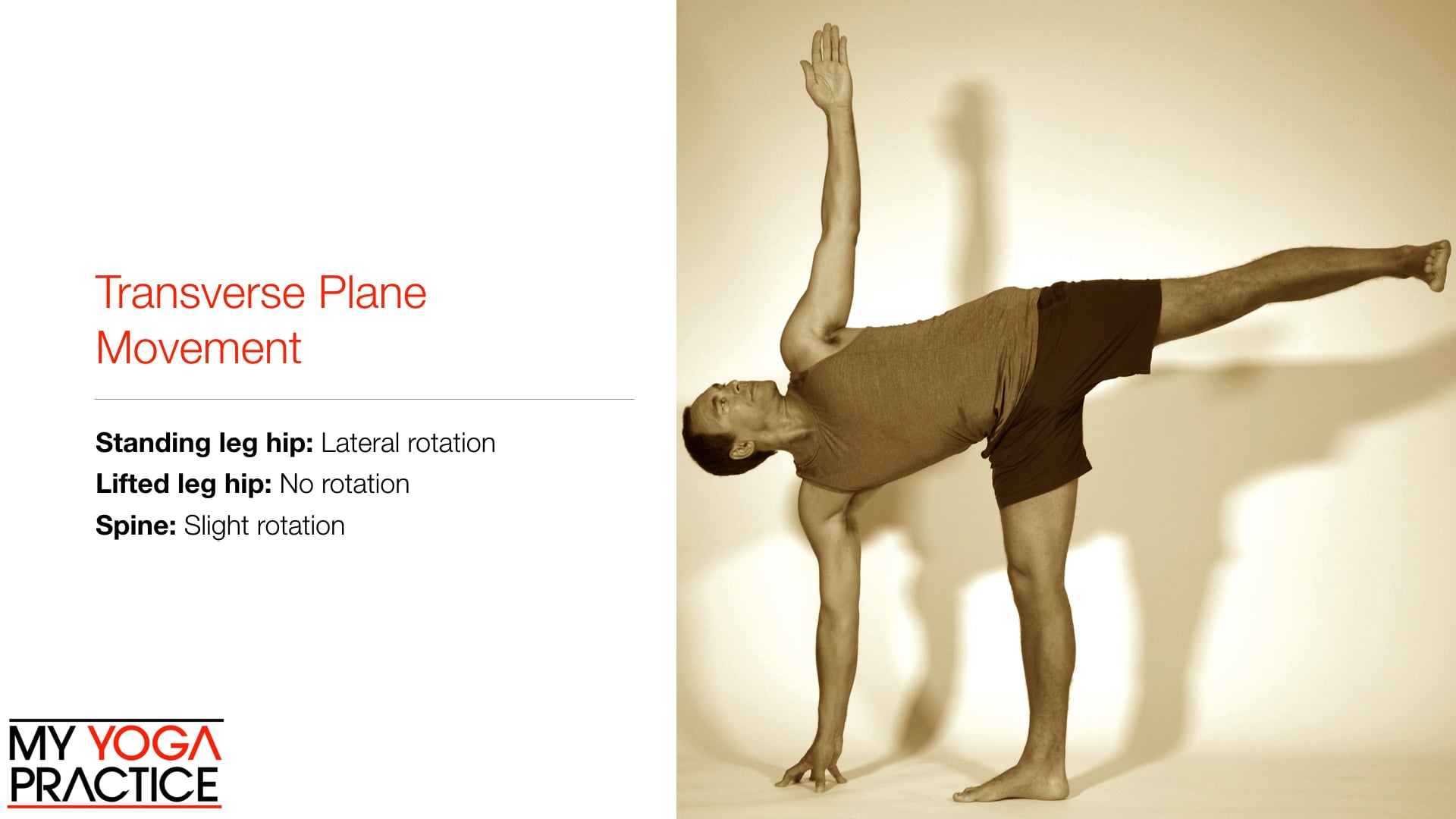6.6-The Transverse Plane of Movement