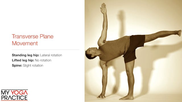 6.6-The Transverse Plane of Movement