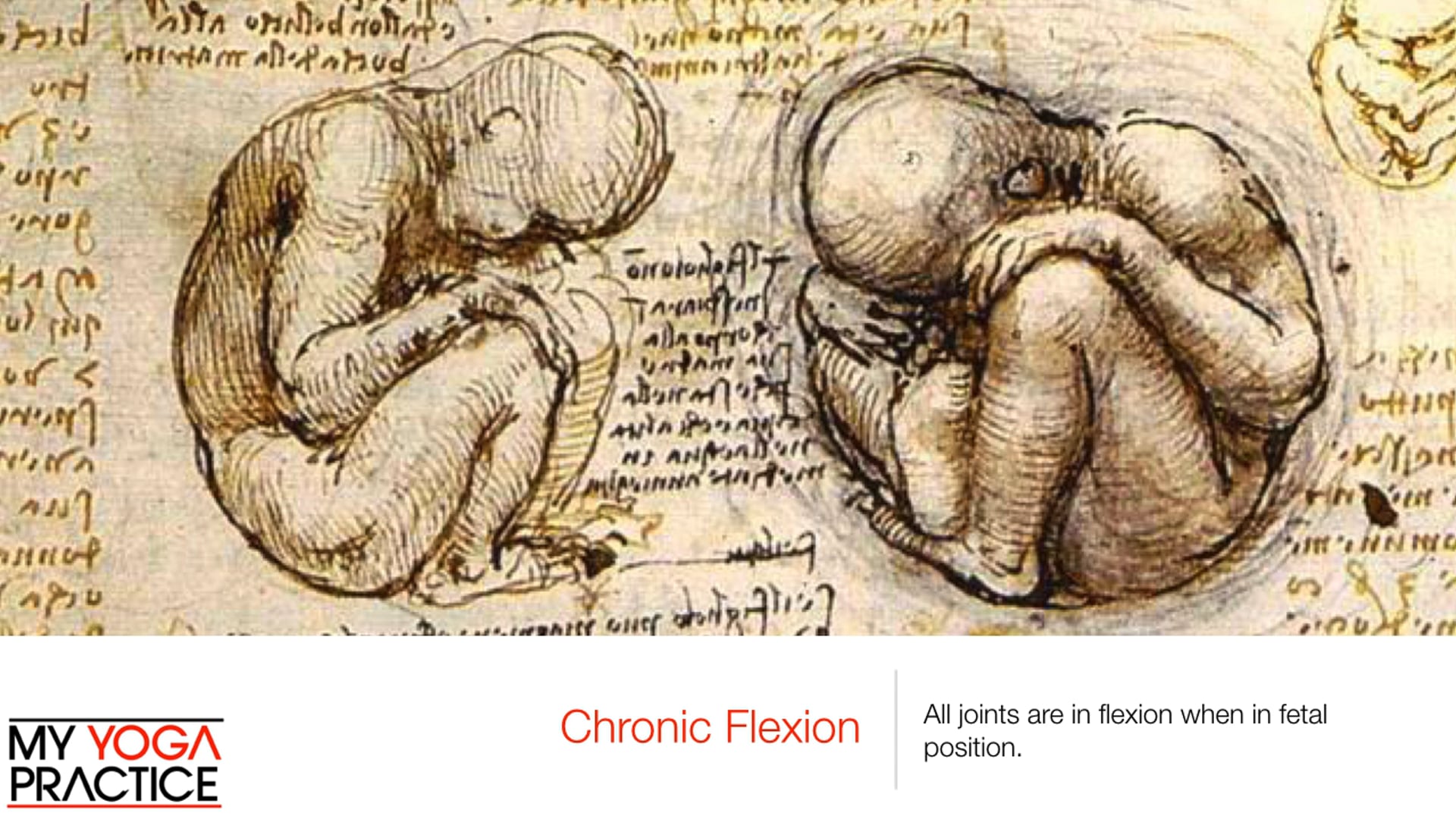 5.1- Transforming the Body with Asana 1