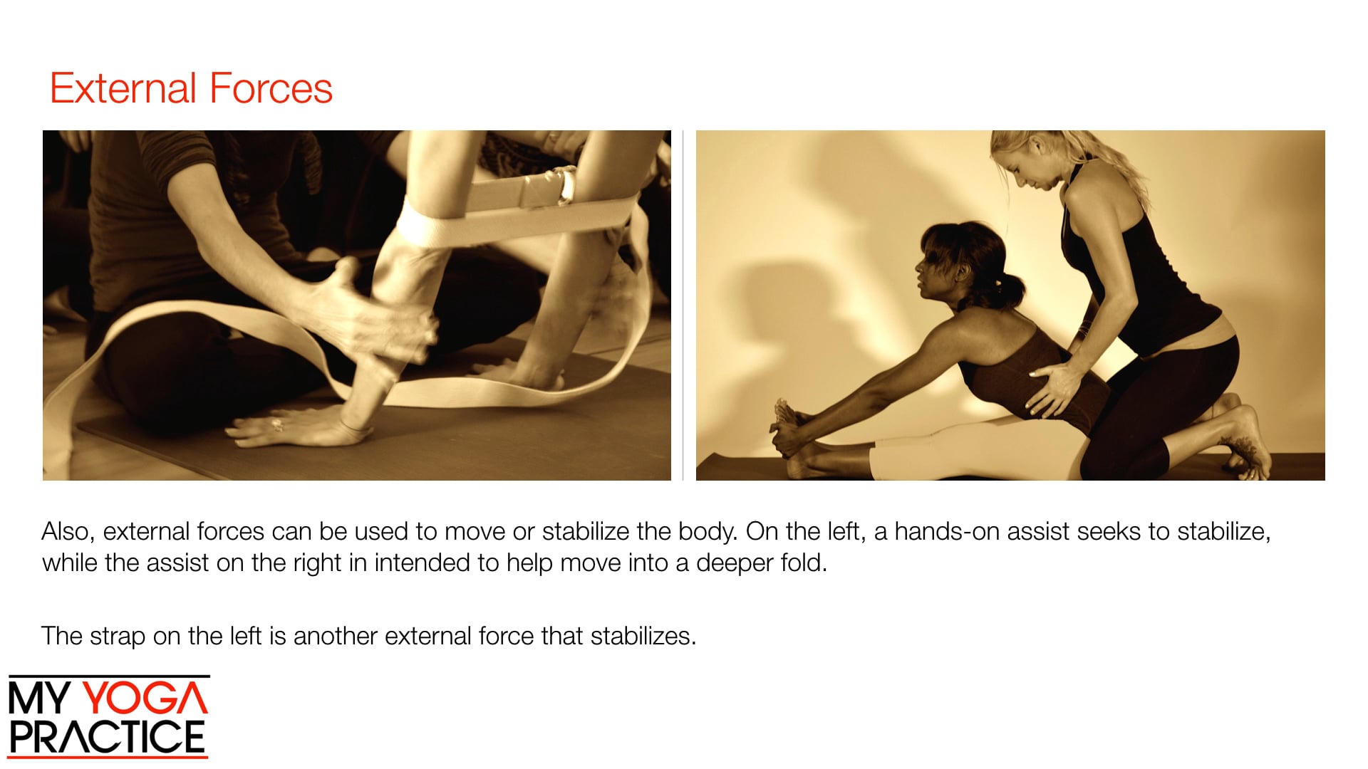 3.3- Introduction to Muscle Function 3