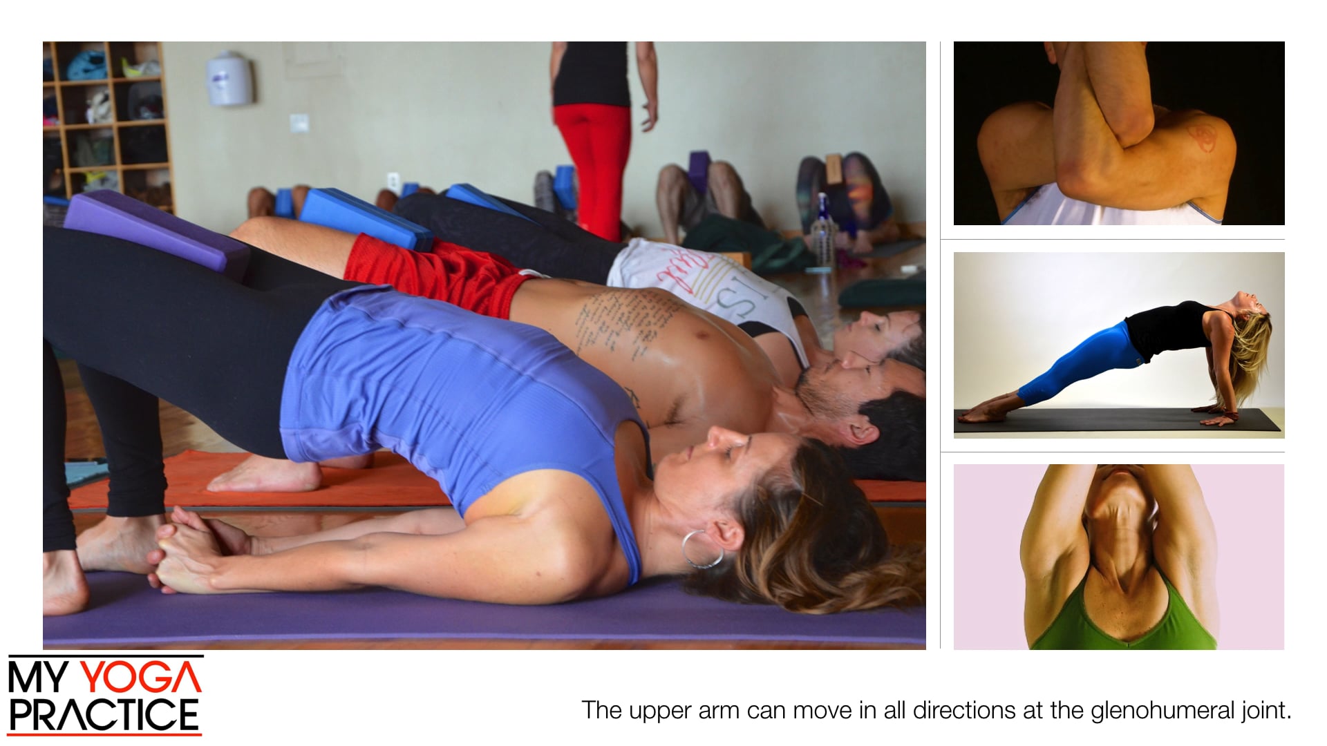 11.4- Structure and Movement of the Glenohumeral Joint 1