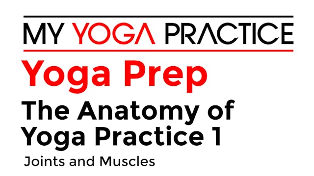 Yoga Prep Anatomy 1