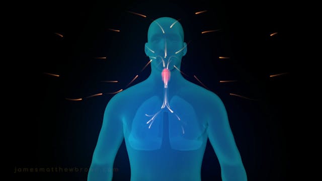 Know Techniques of Pranayama