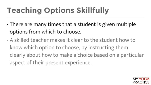 3.8 Teaching Options Skillfully 