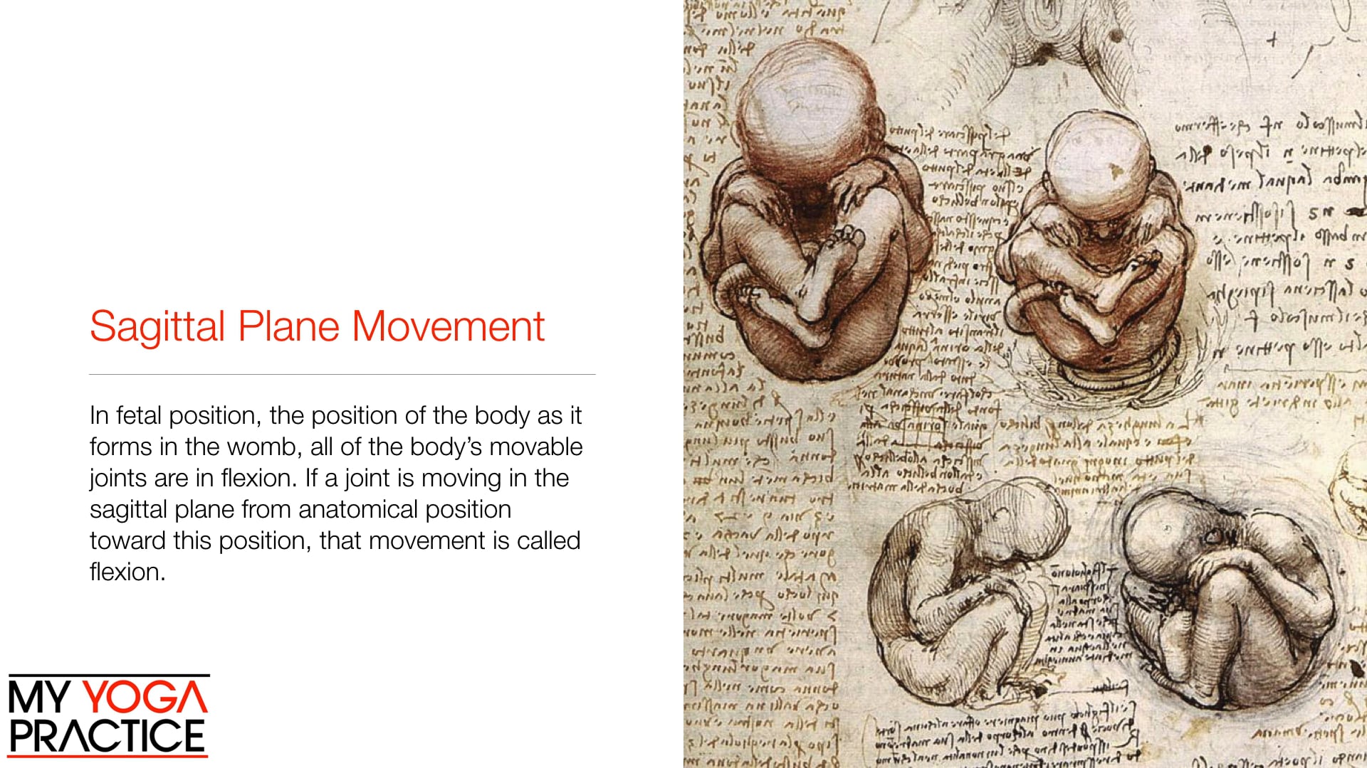 6.4- The Sagittal Plane of Movement