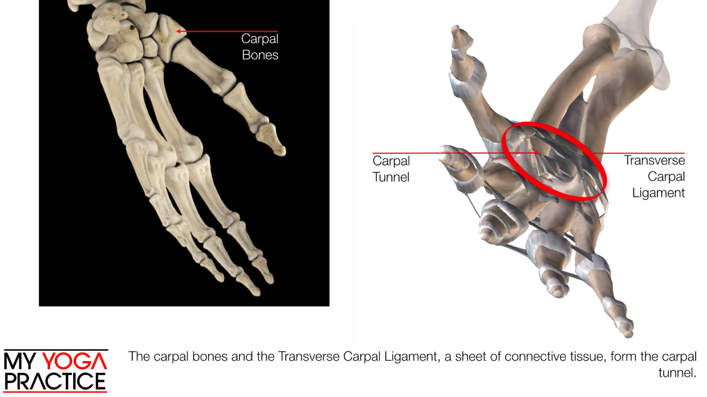 12.4- Strategies for Healthy Wrists