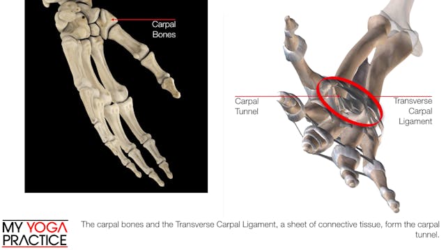 12.4- Strategies for Healthy Wrists