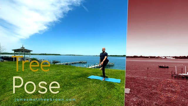 Know Tree Pose