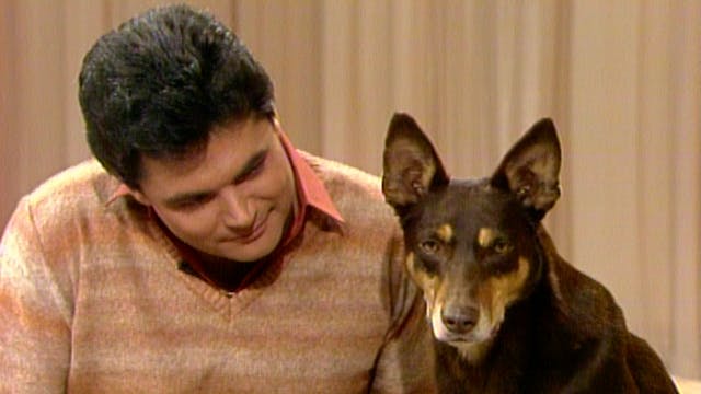 Episode 9, 1983 - The Daryl Somers Show