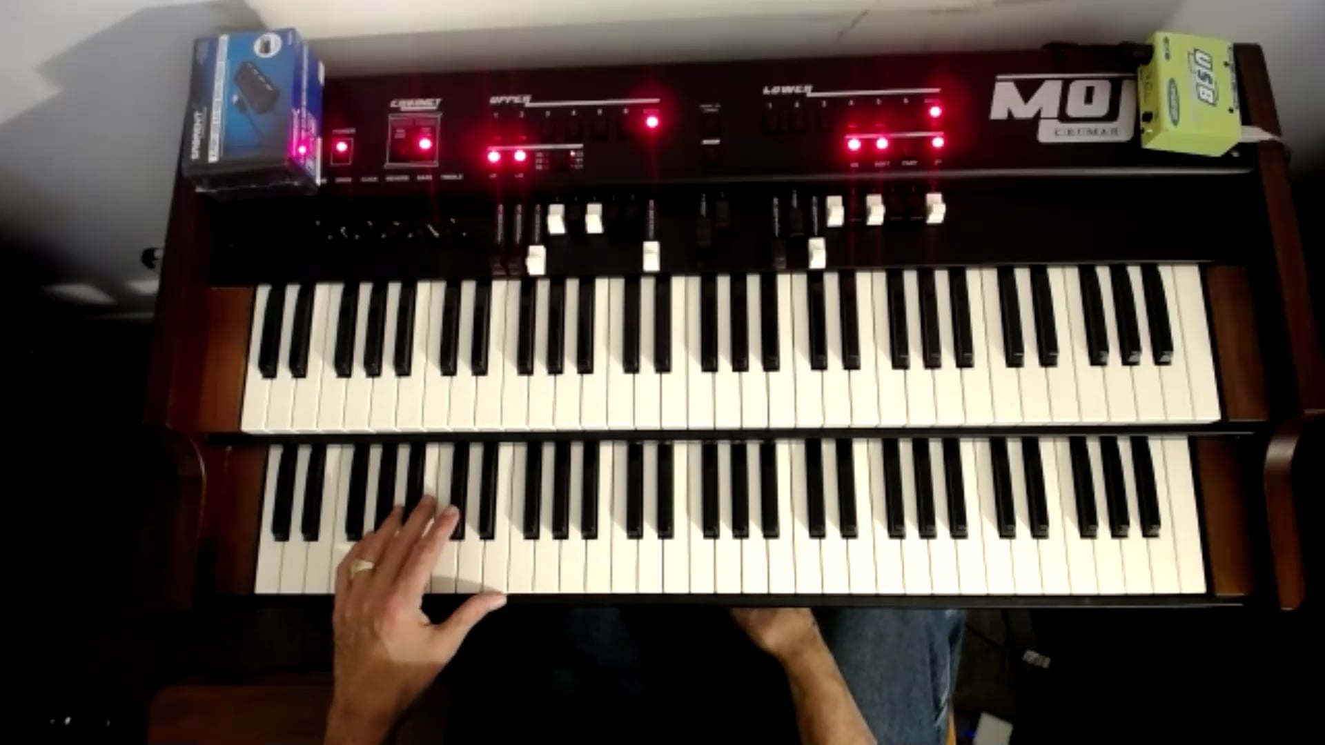 2021-02-18 JAM - CHAMELEON