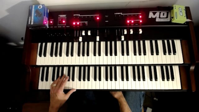 2021-02-18 JAM - CHAMELEON