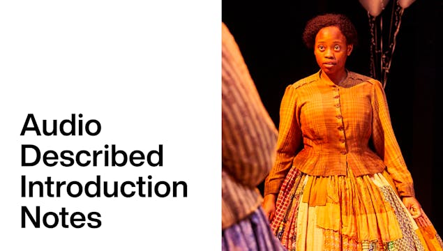 Audio Description: Rockets and Blue Lights - Introduction Notes