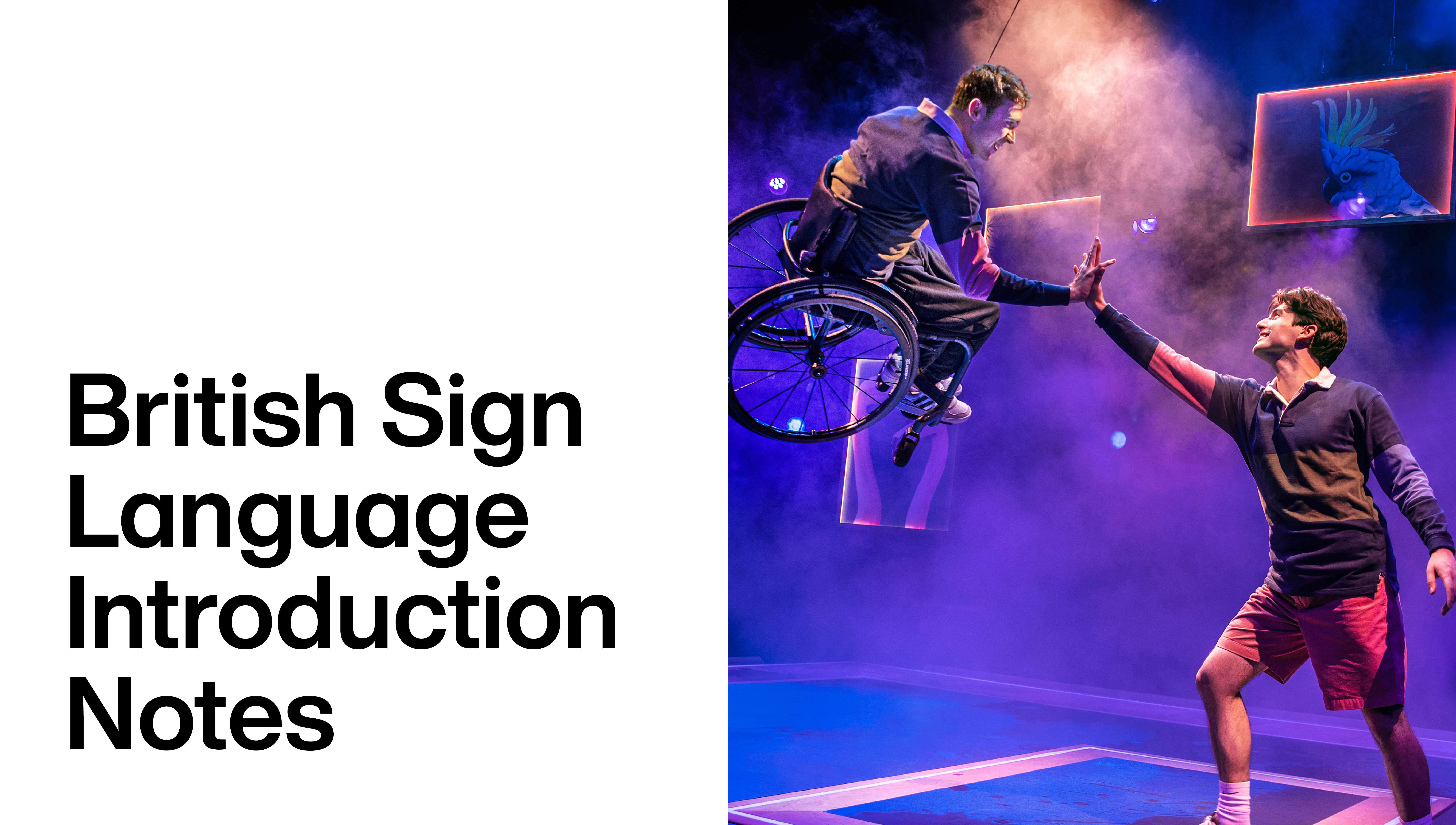 The Little Big Things: British Sign Language Introduction Notes