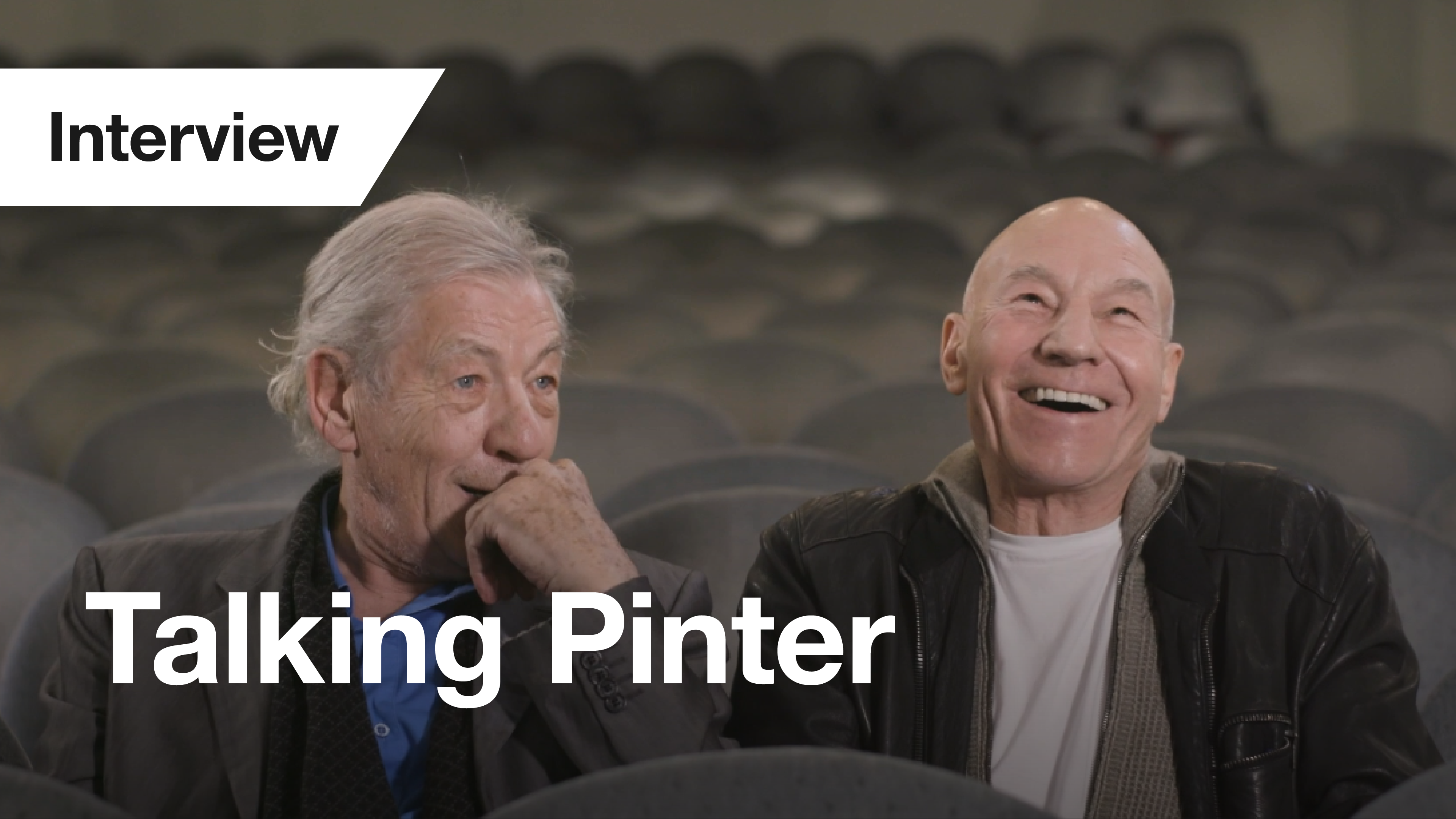 No Man's Land: Interview - Talking Pinter