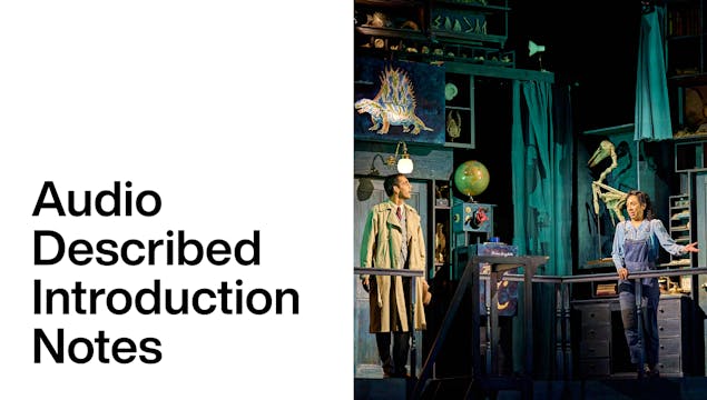 Ballet Shoes: Audio Described Introduction Notes