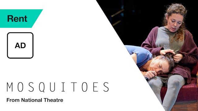 Audio Description: Mosquitoes (Rent)