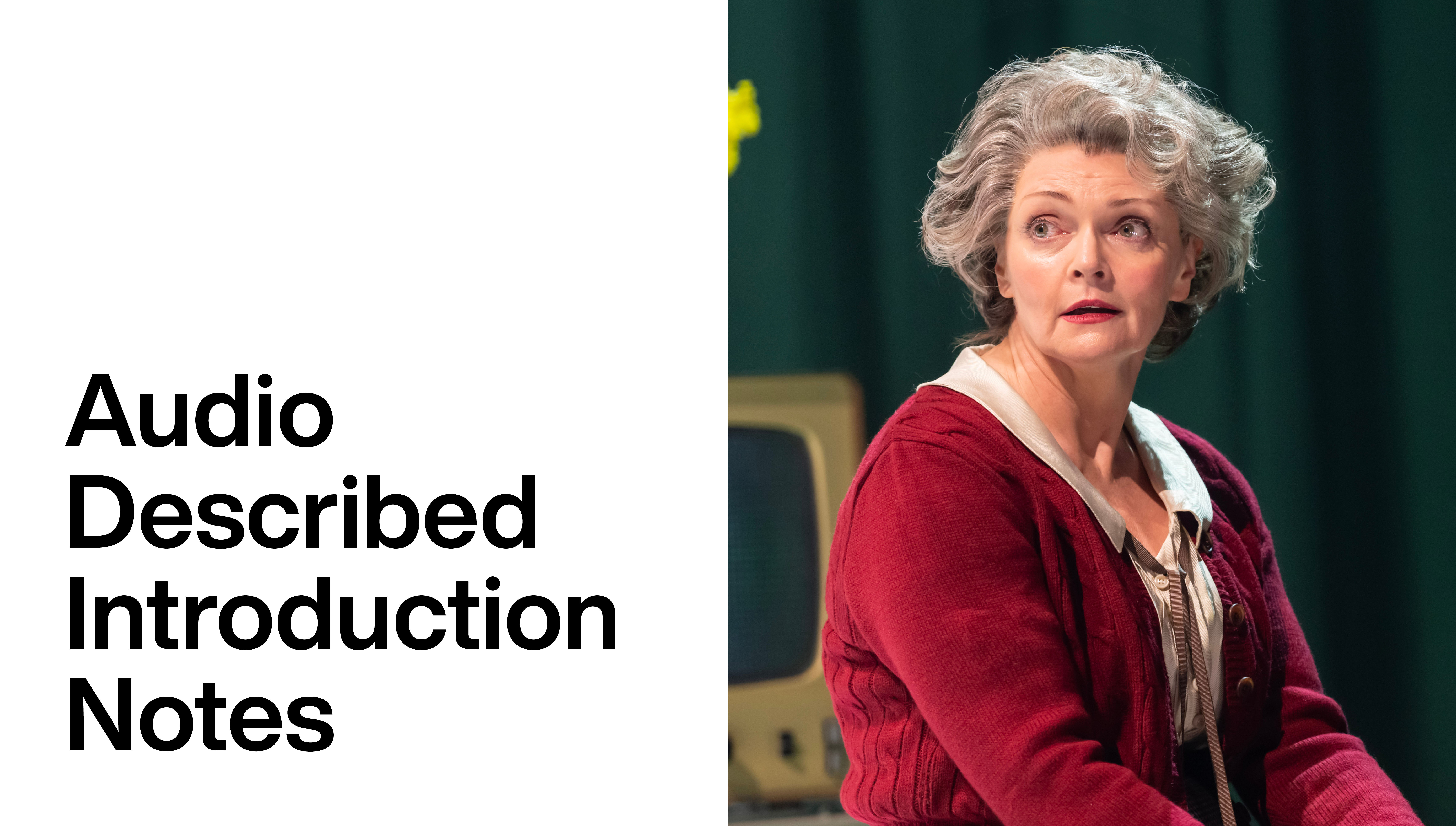 Nye: Audio Described Introduction Notes