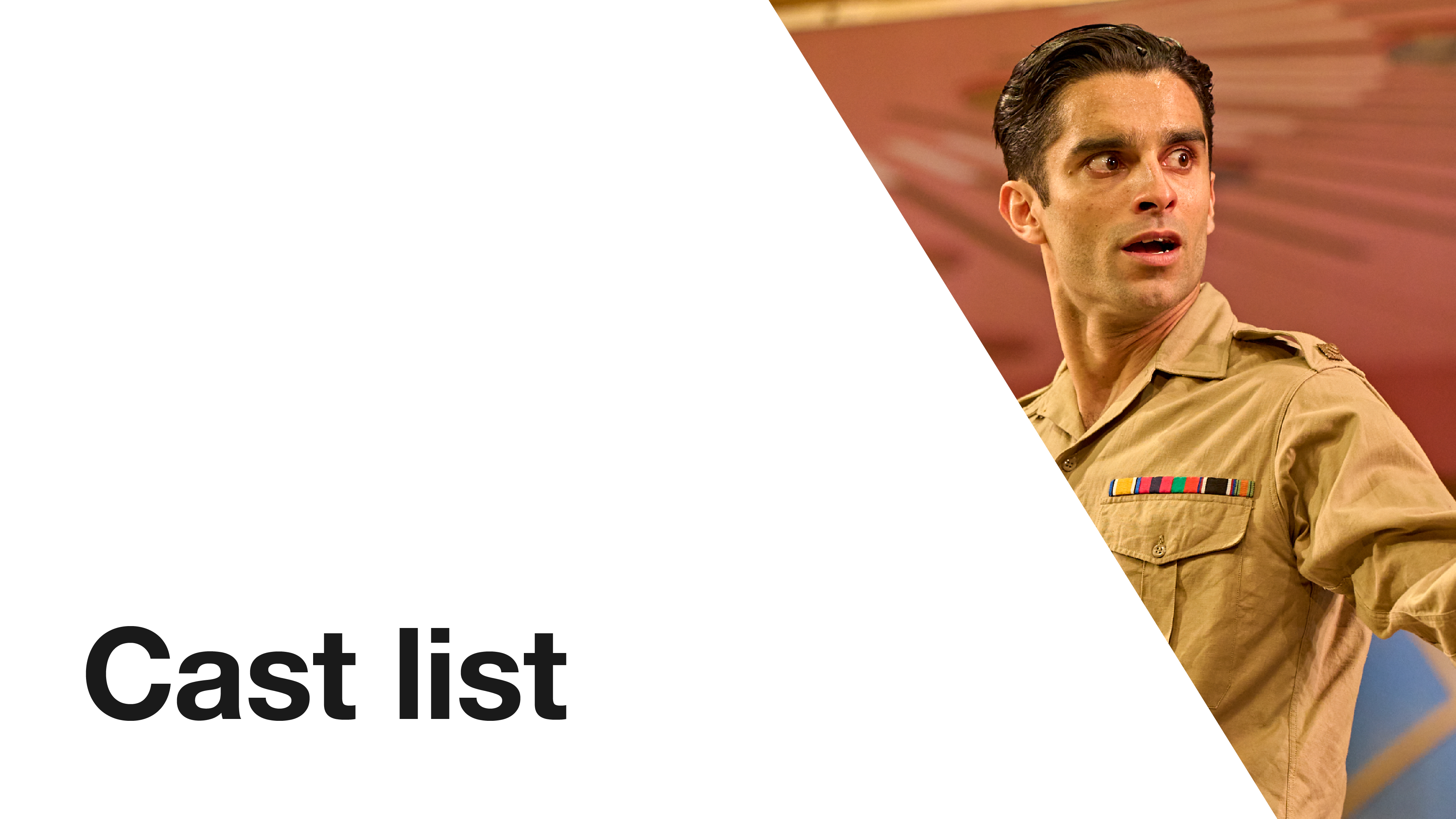 Much Ado About Nothing: Cast List