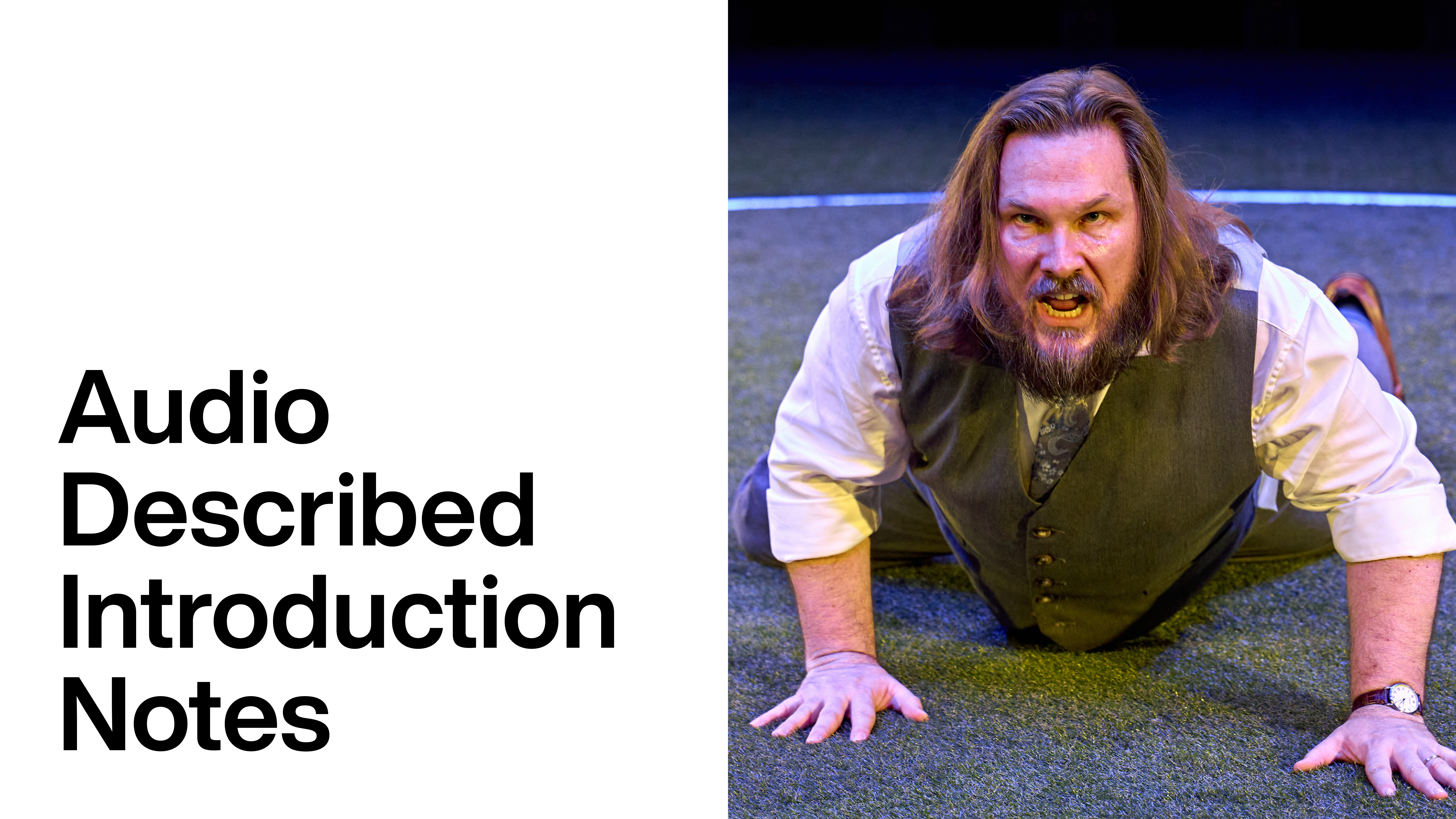 Till the Stars Come Down: Audio Described Introduction Notes