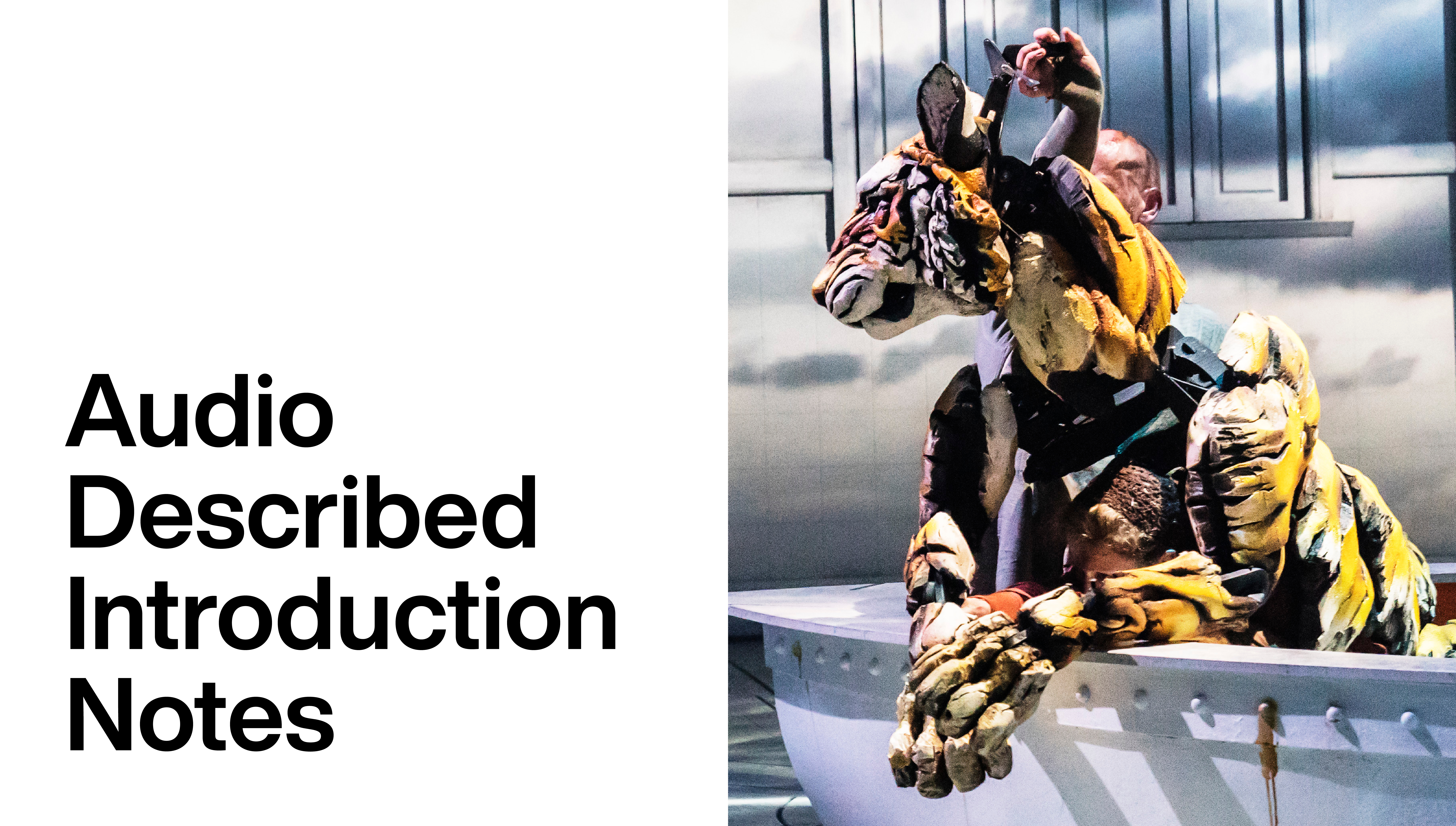 Life of Pi: Audio Described Introduction Notes