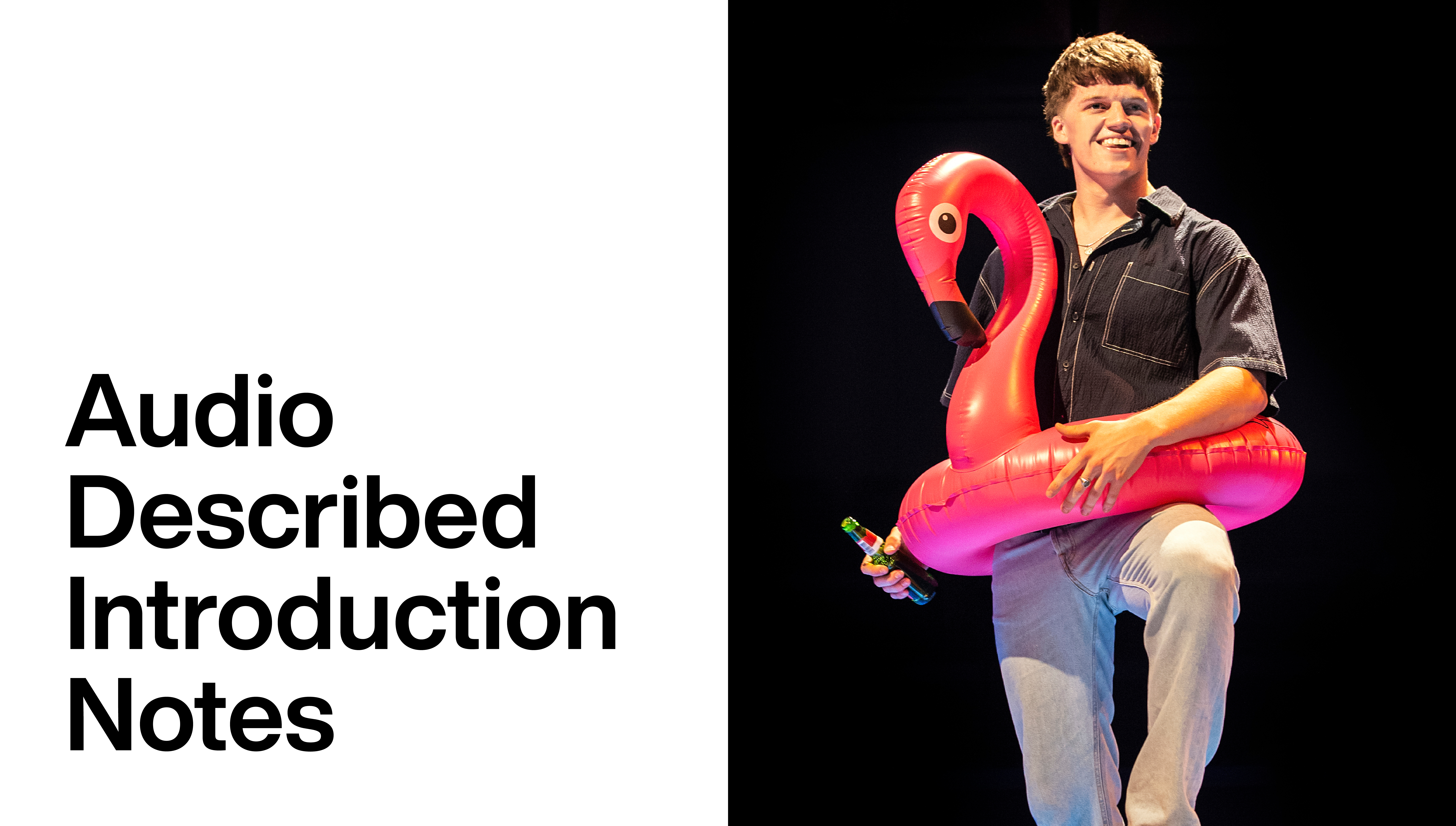 The Little Big Things: Audio Described introduction notes