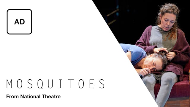 Mosquitoes: Full Play - Audio Description