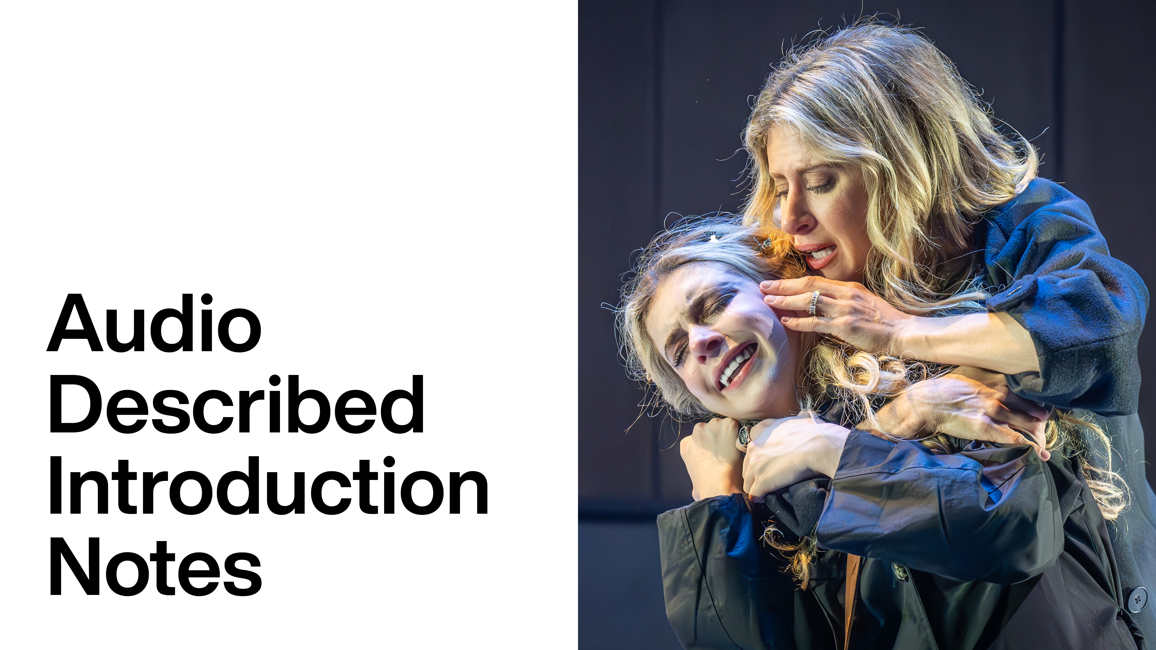 Next to Normal: Audio Described Introduction Notes