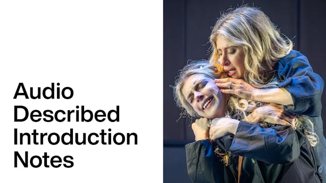 Next to Normal: Audio Described Introduction Notes