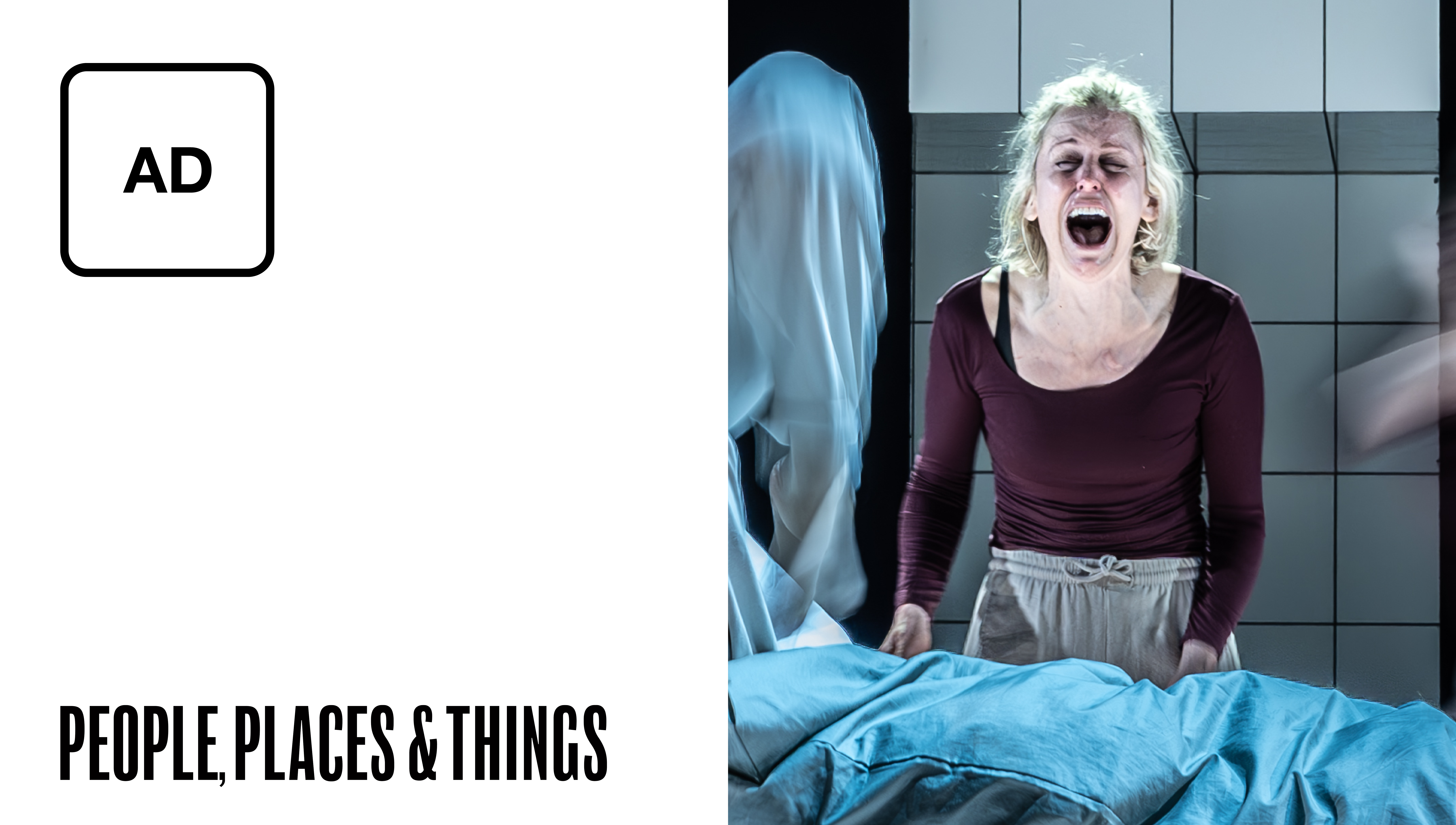 People, Places & Things: Full Play - Audio Description