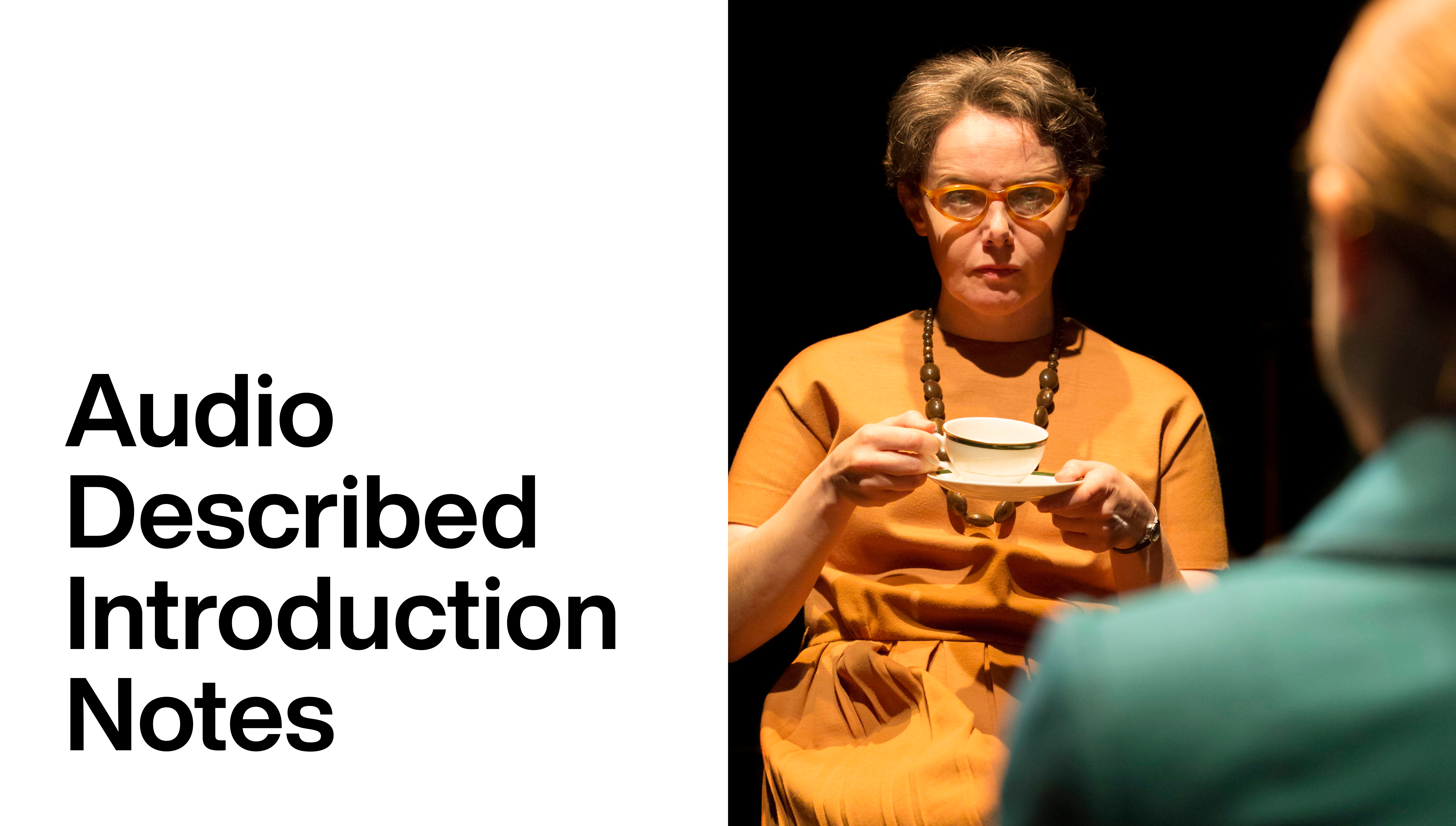 This House: Audio Described Introduction Notes