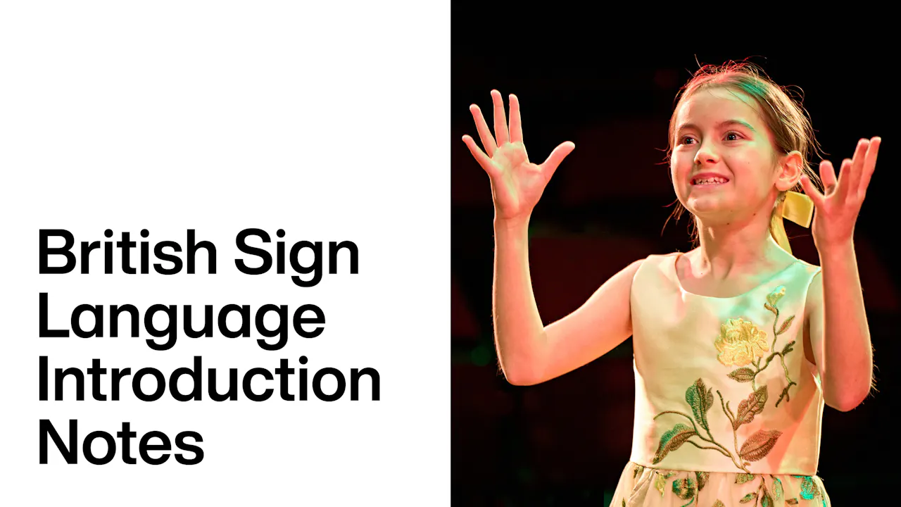 Till The Stars Comes Down: British Sign Language Introduction Notes ...