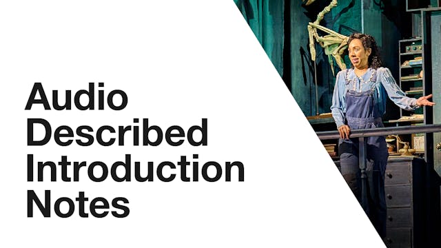 Ballet Shoes: Audio Described Introduction Notes