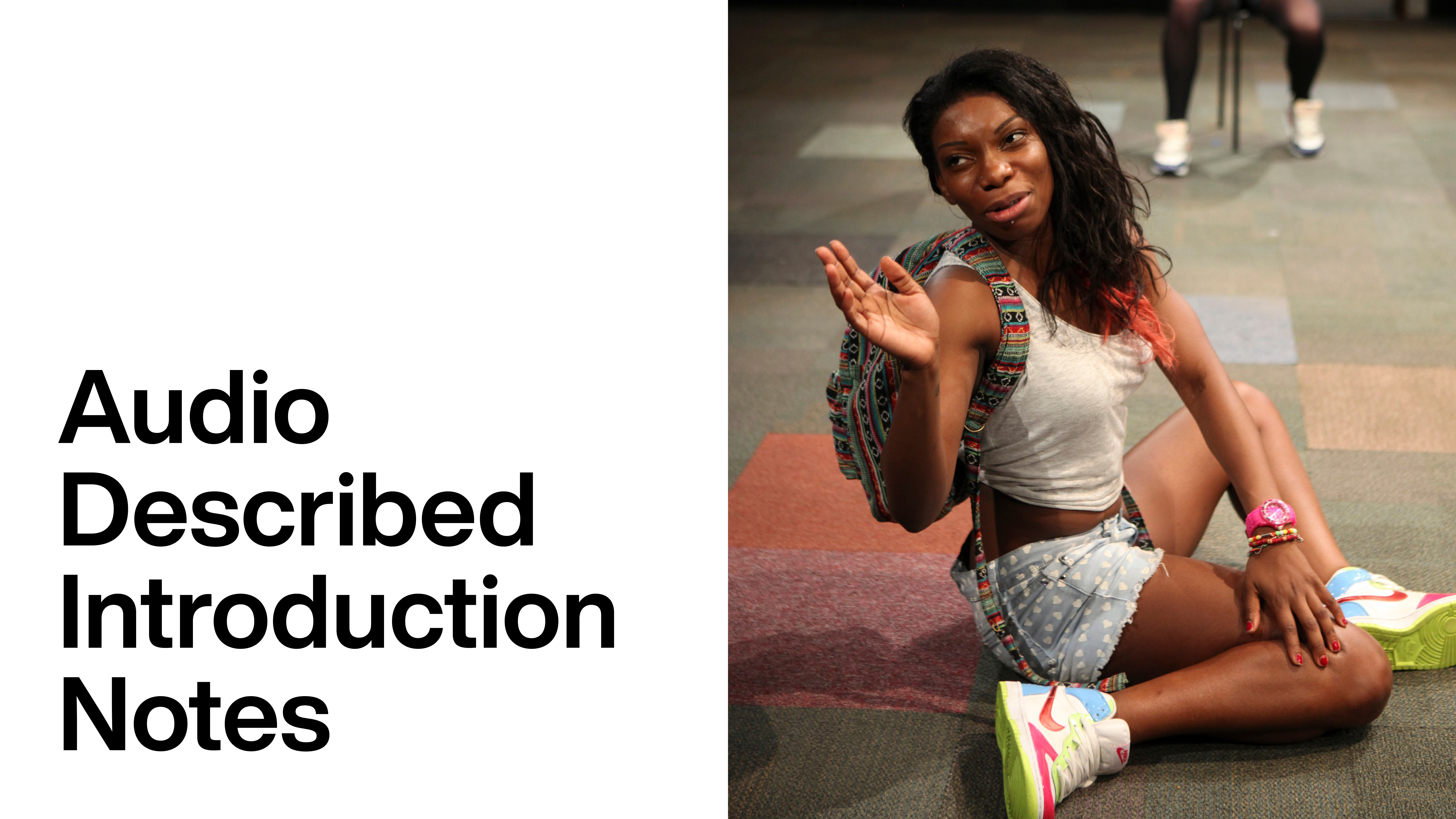 Home: Audio Described Introduction Notes