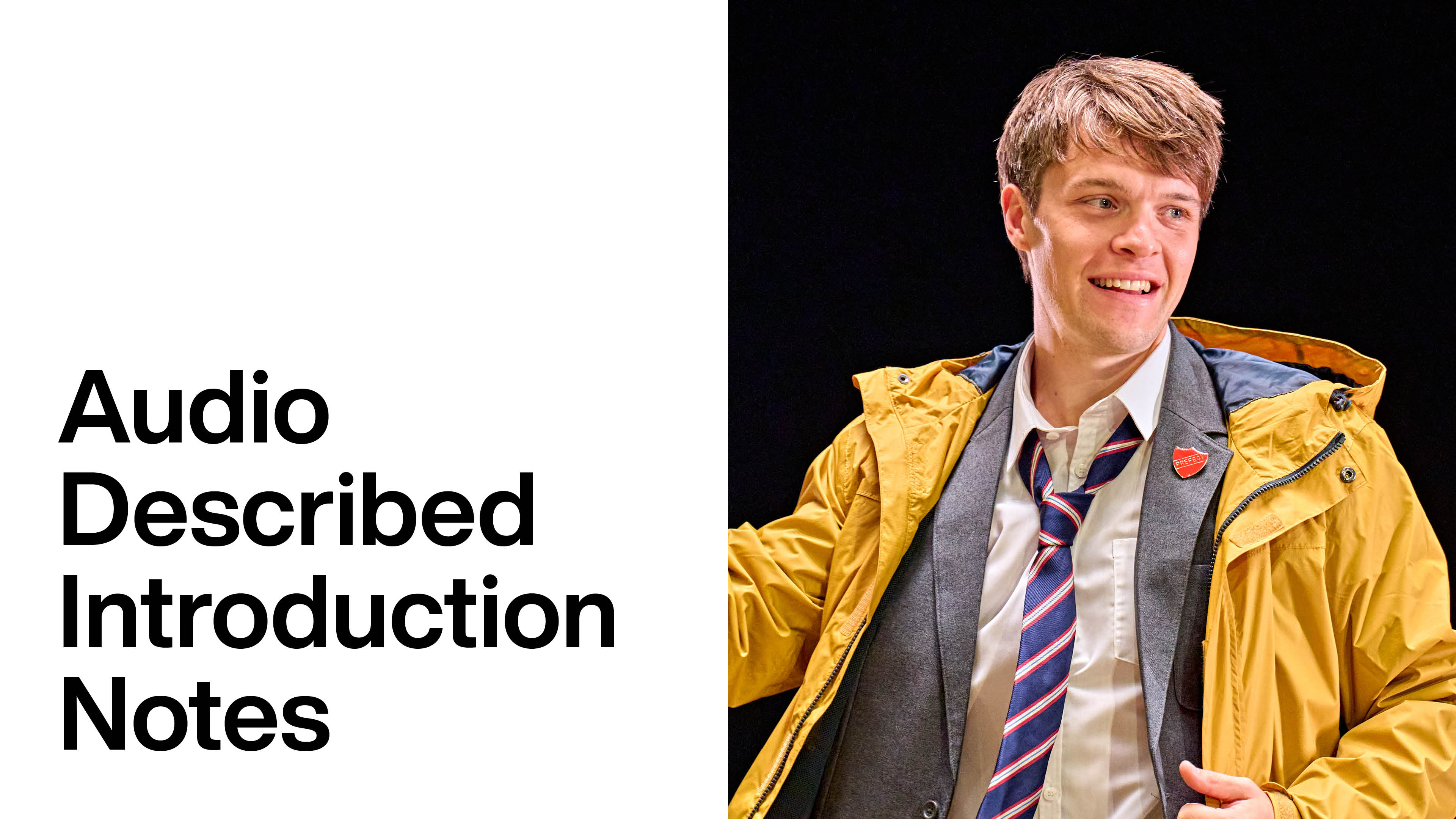Inter Alia: Audio Description Introduction Notes
