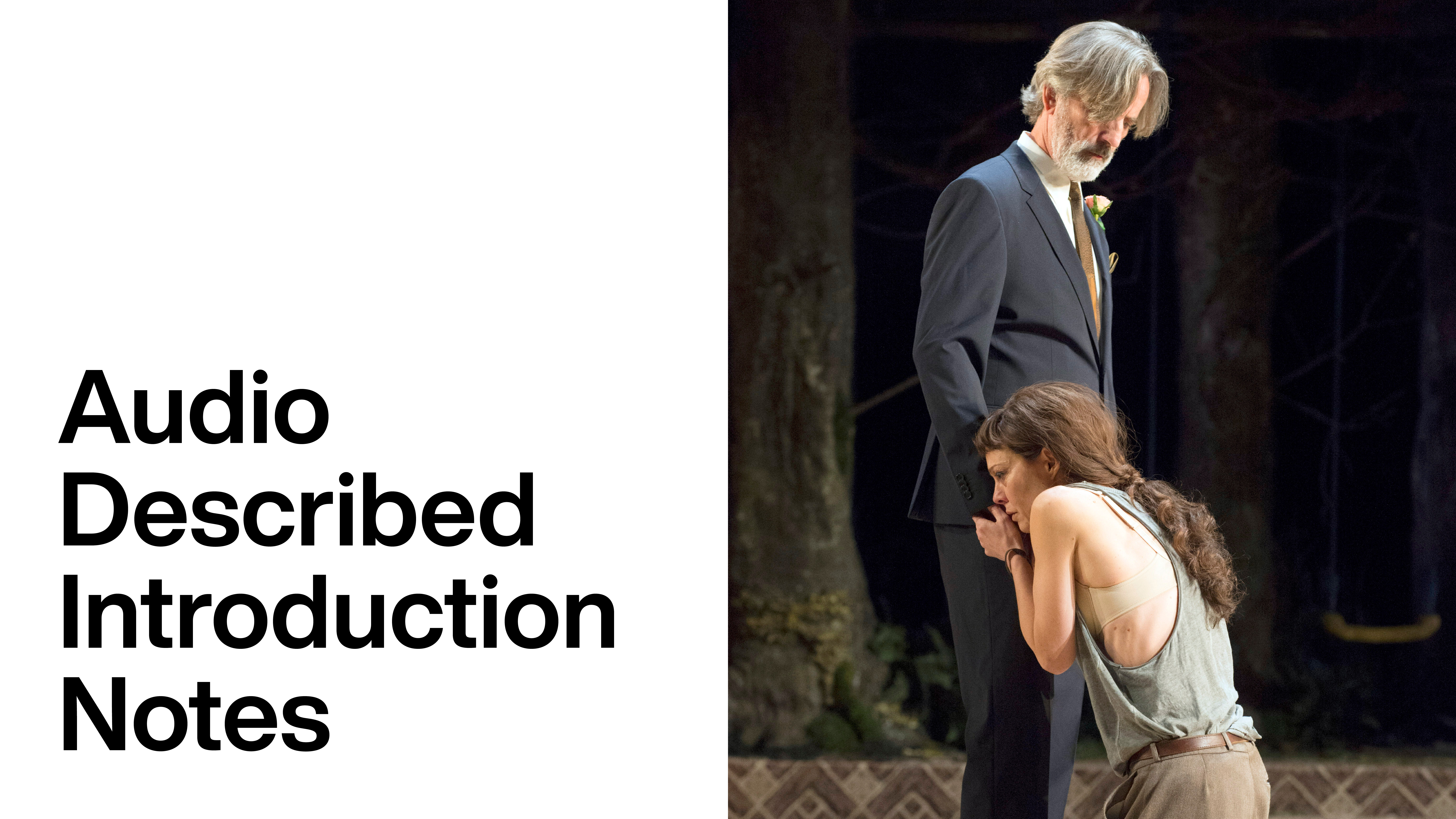 Audio Description: Medea - Introduction Notes