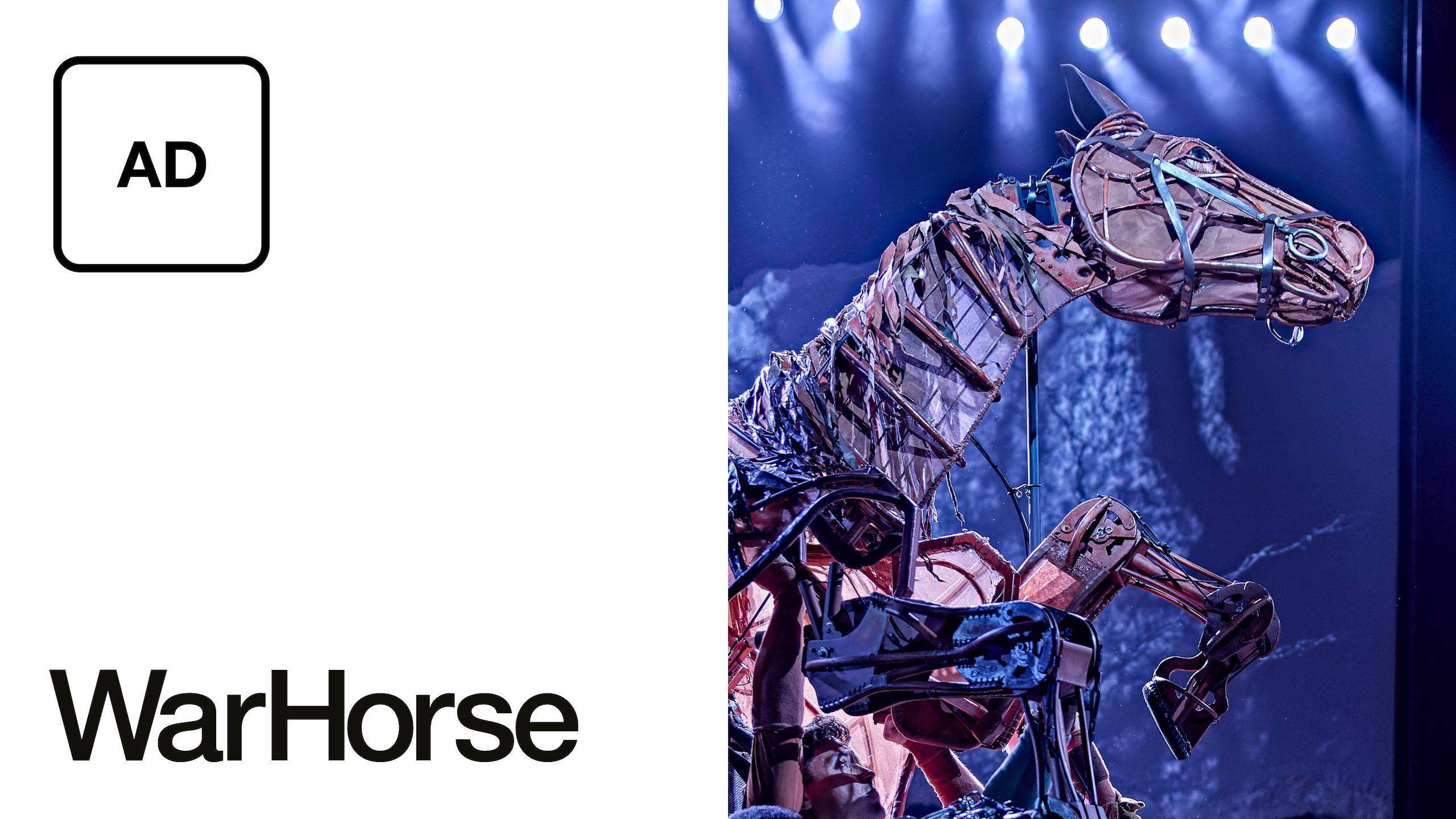 Audio Description: War Horse