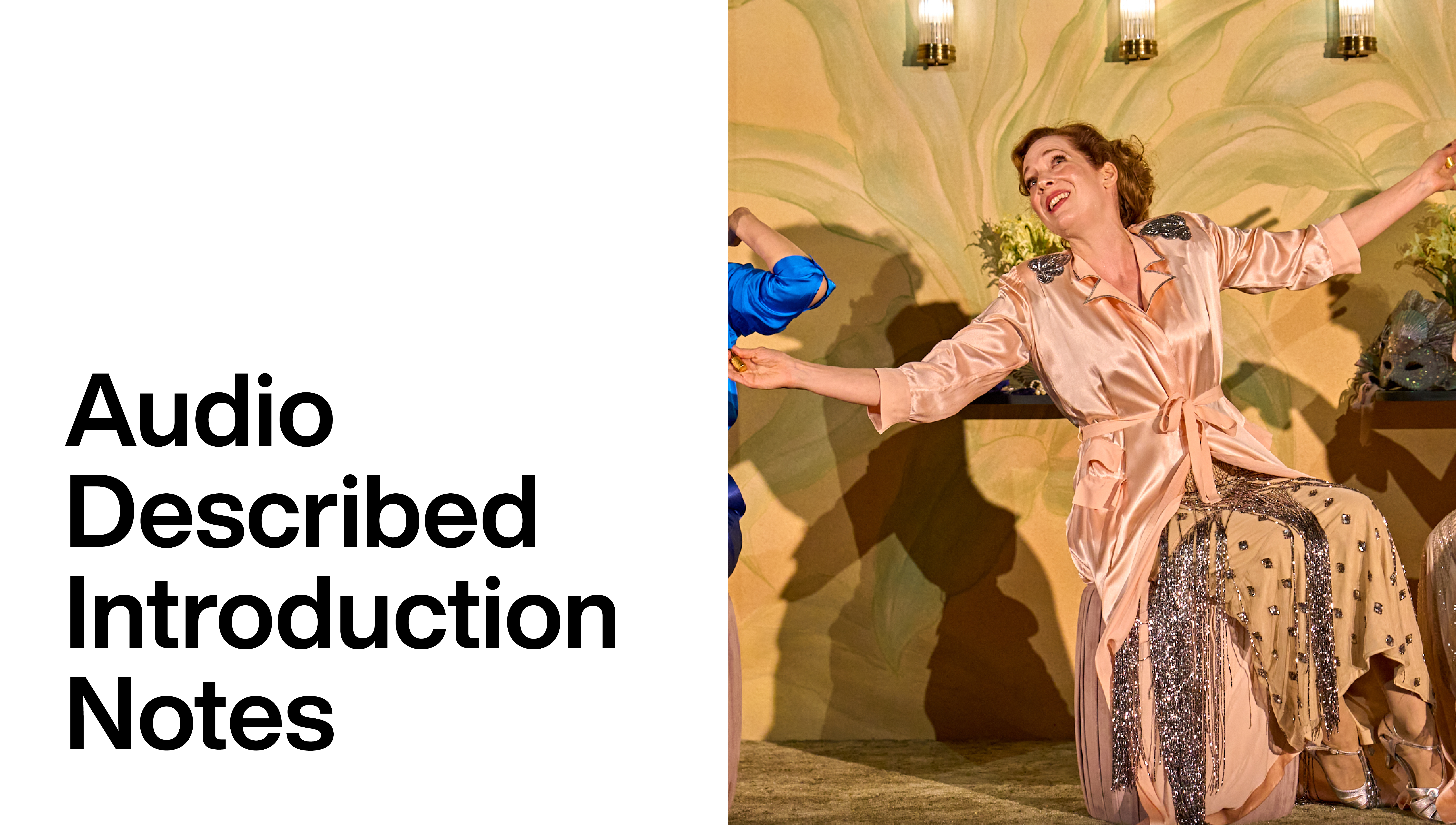 Much Ado About Nothing: Audio Described Introduction Notes