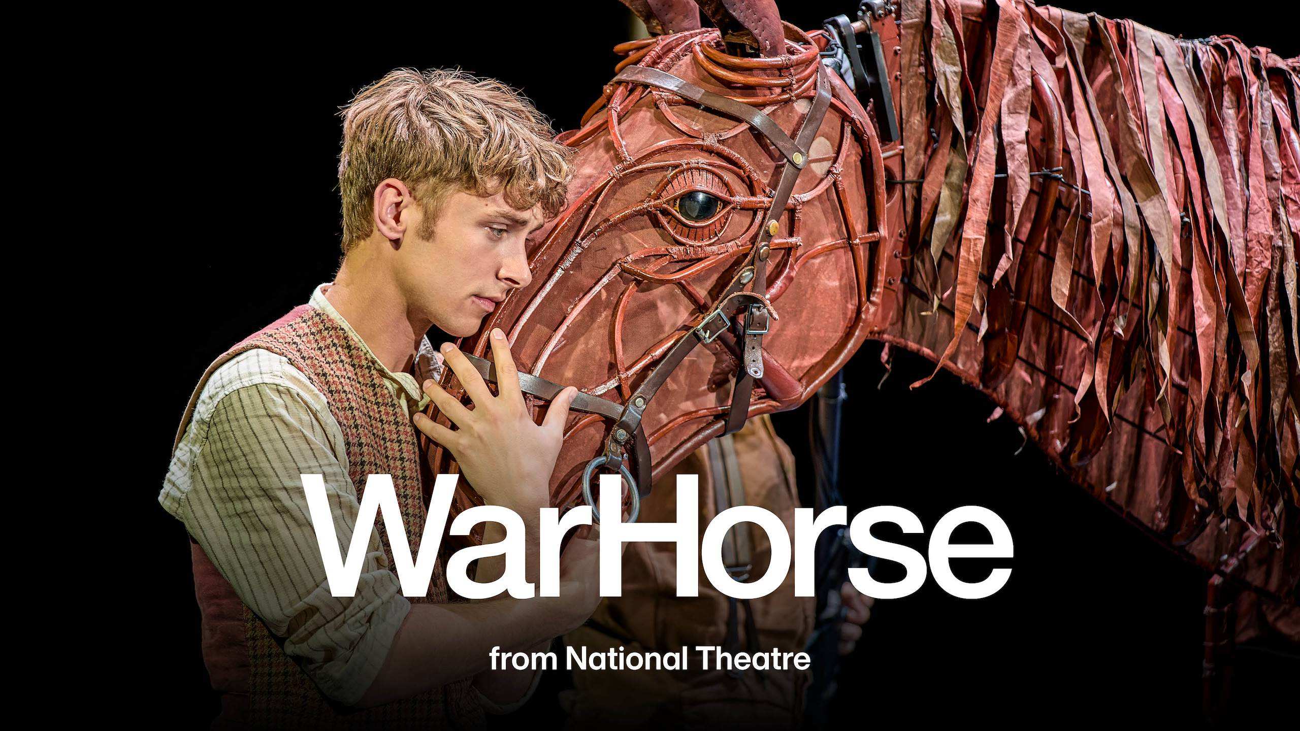 War Horse: Full Play