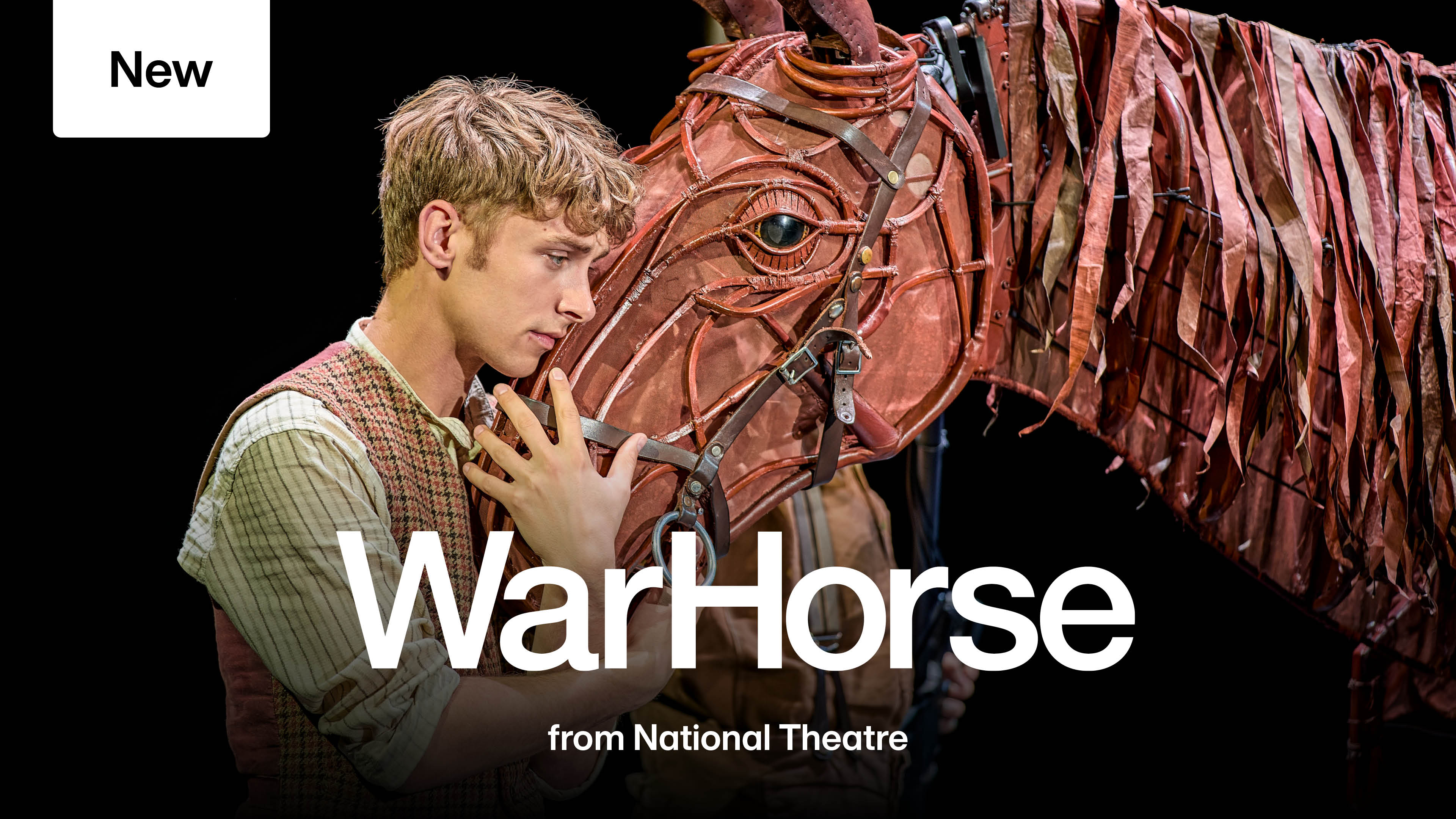 War Horse