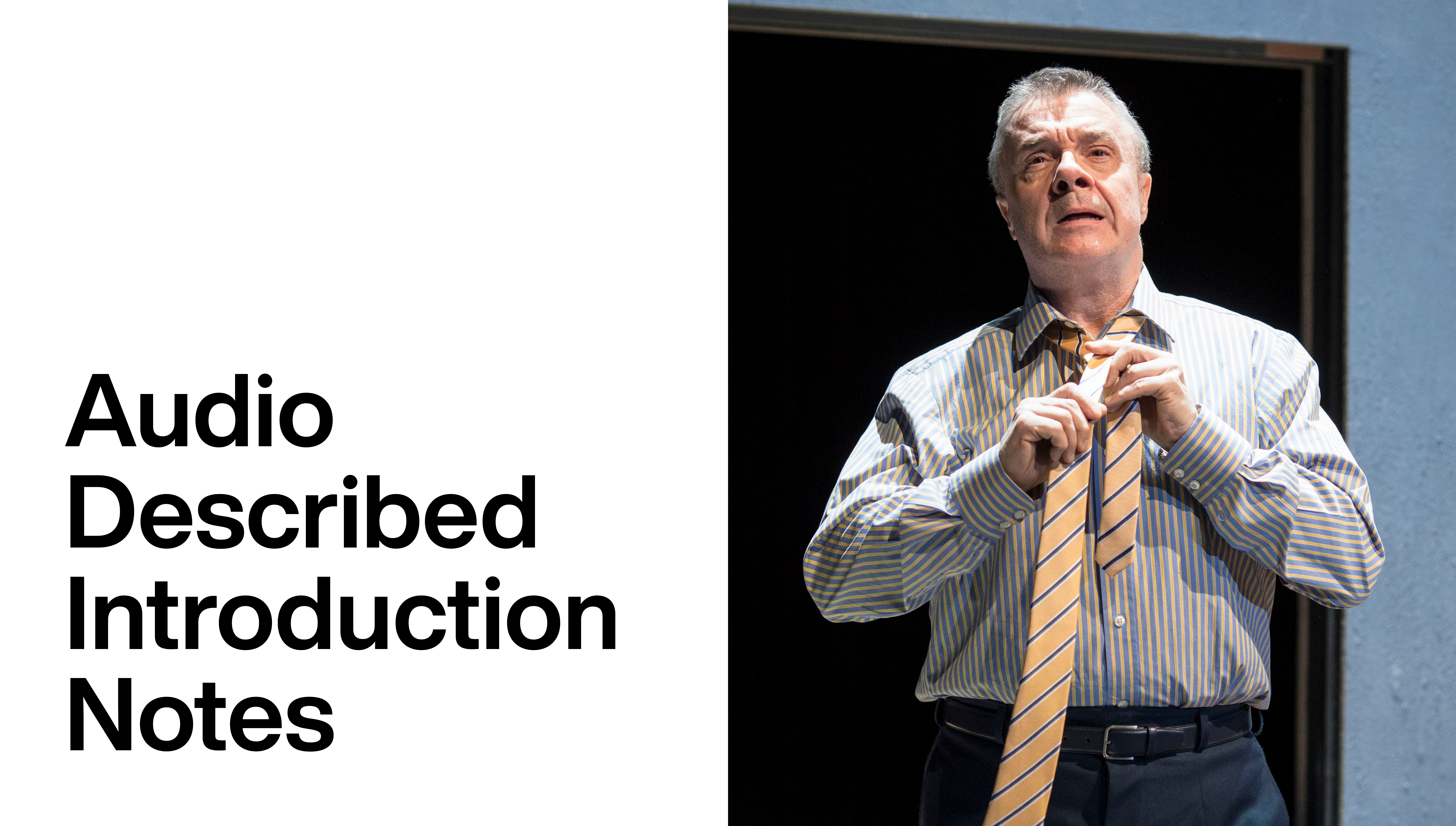 Angels in America Part One: Millennium Approaches - Audio Described Intro Notes