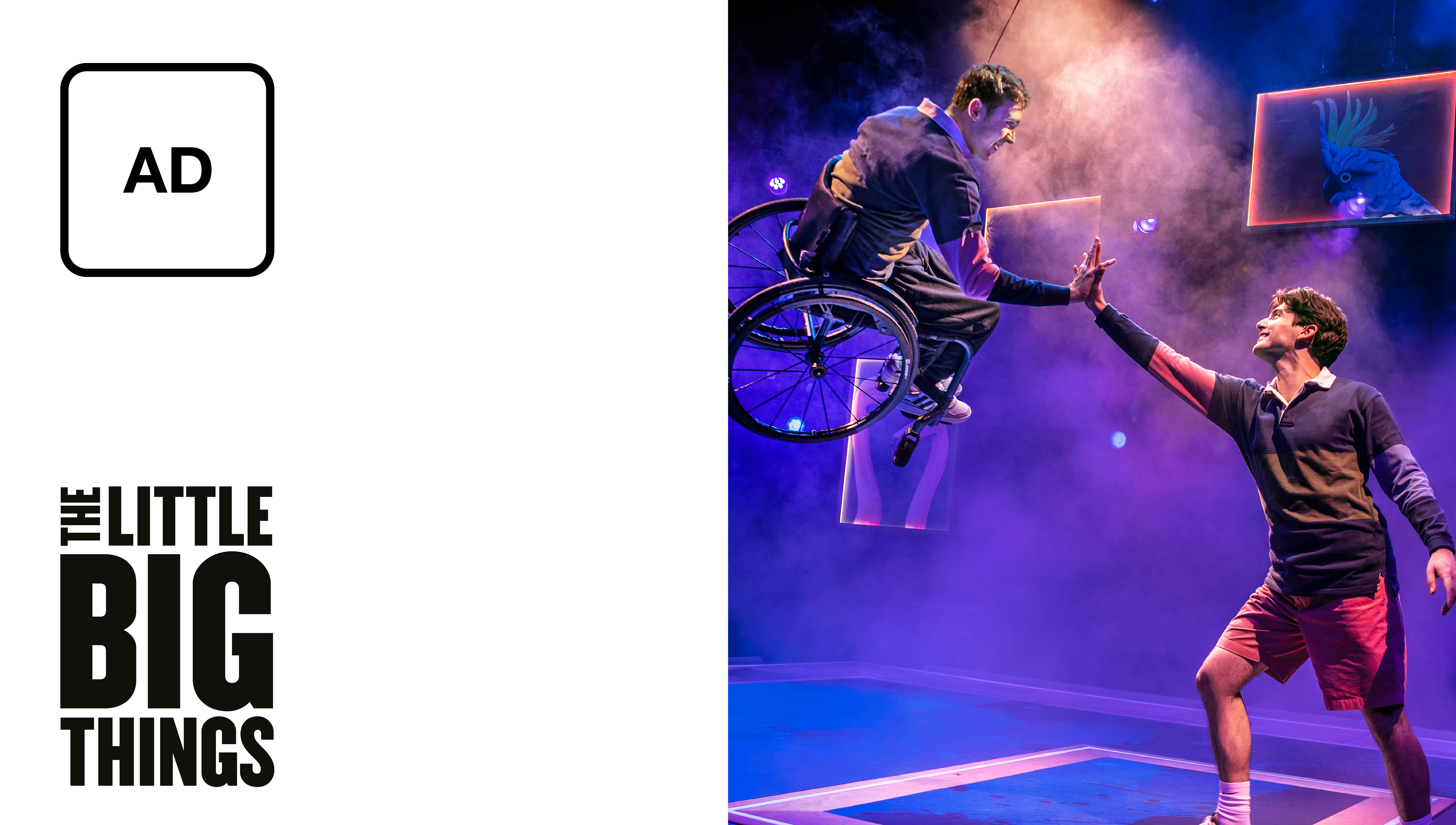 Audio Description: The Little Big Things