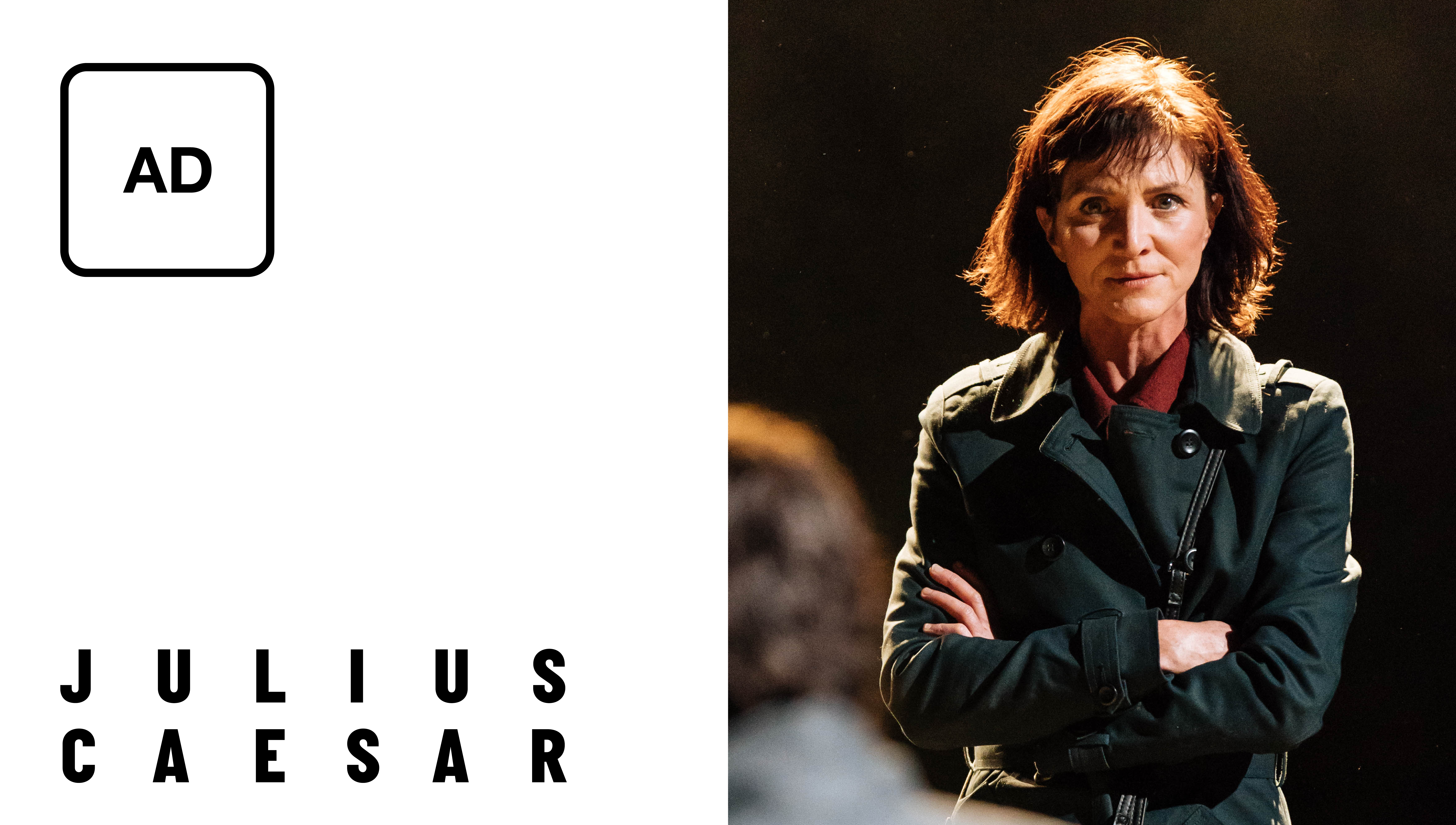 Julius Caesar: Full Play - Audio Description