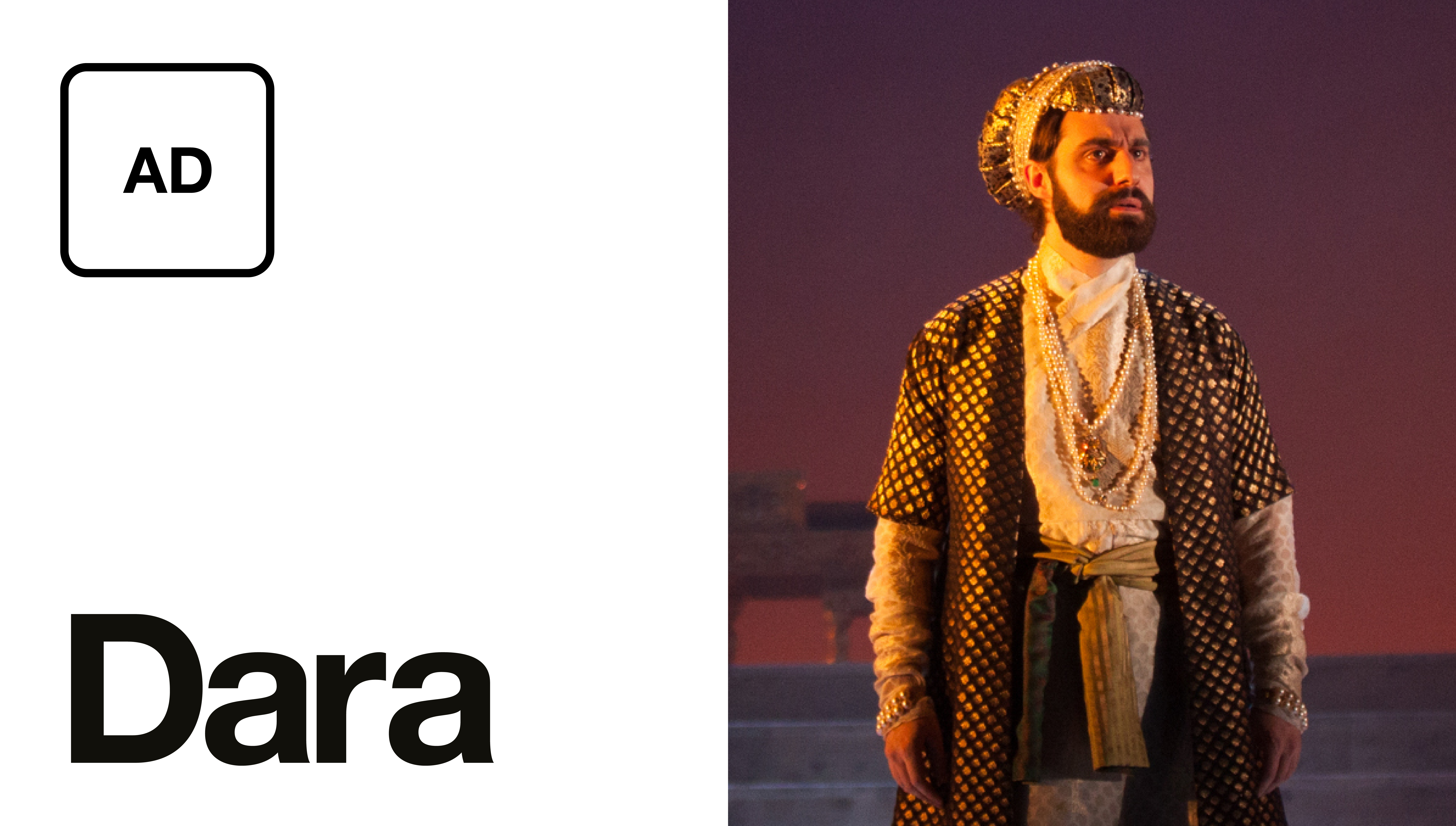 Audio Description: Dara